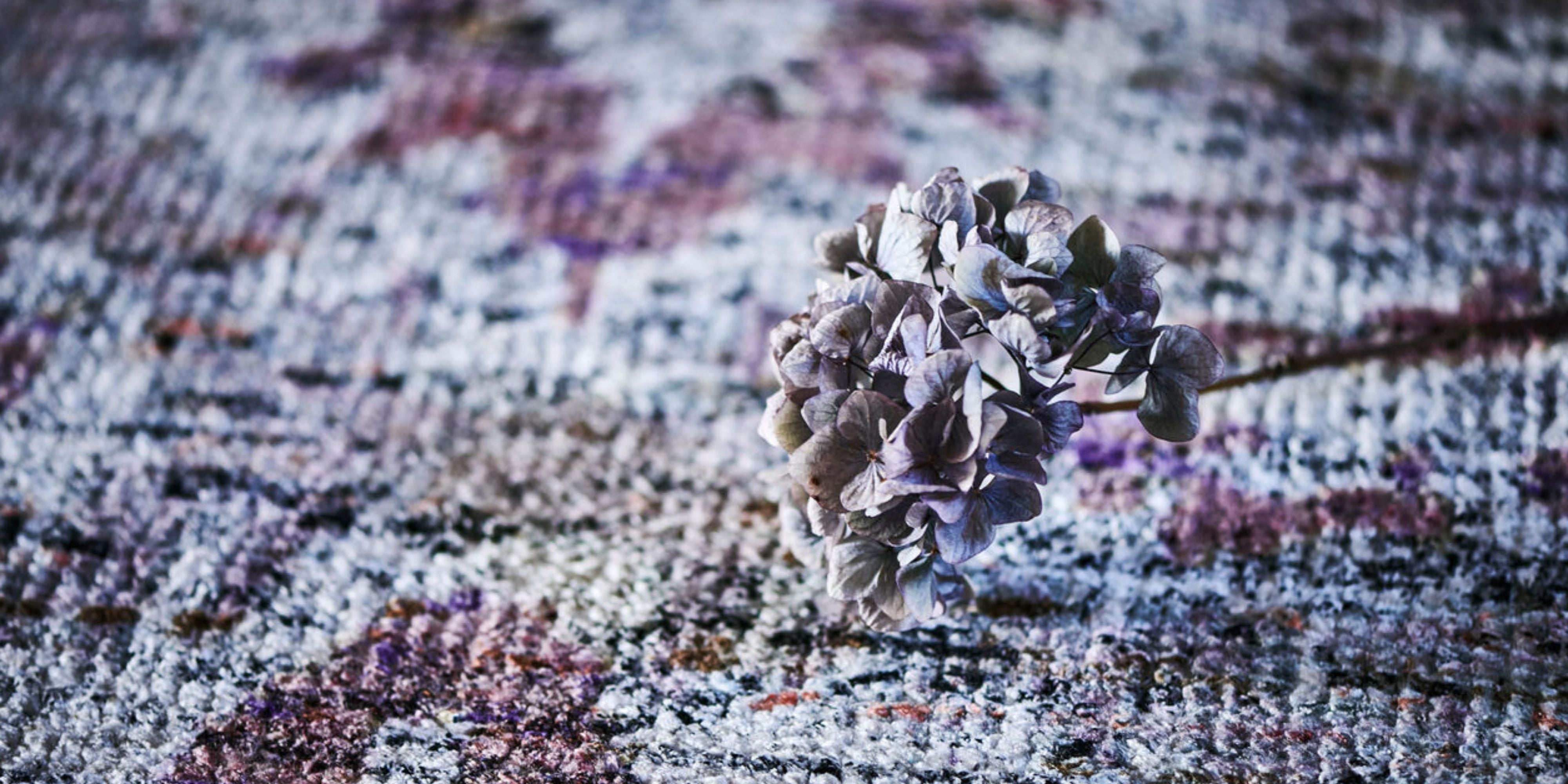 Silk Rugs