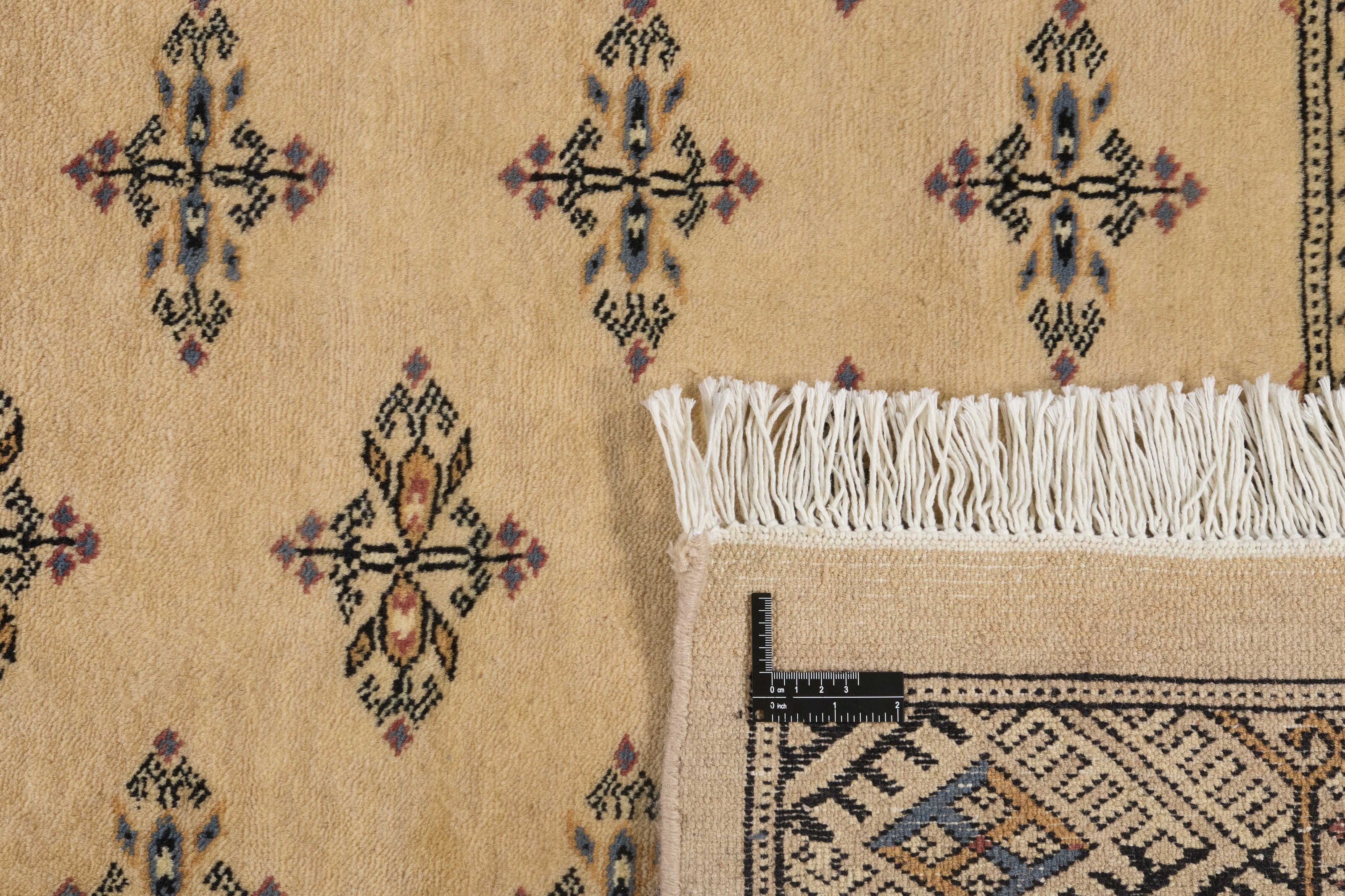 Beige Oriental rug with traditional bordered pattern