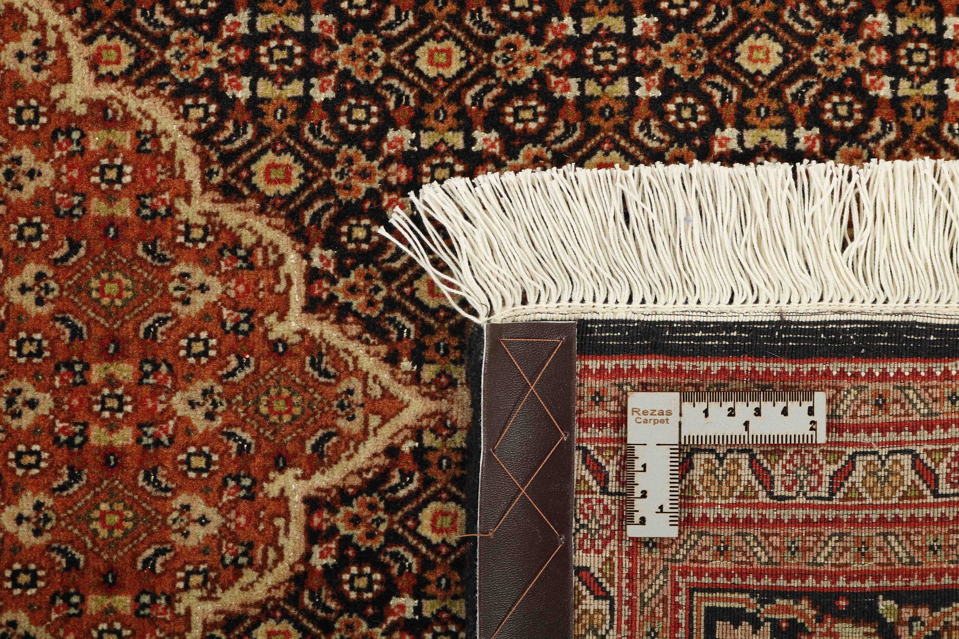 Tabriz 50 Mahi 1259676