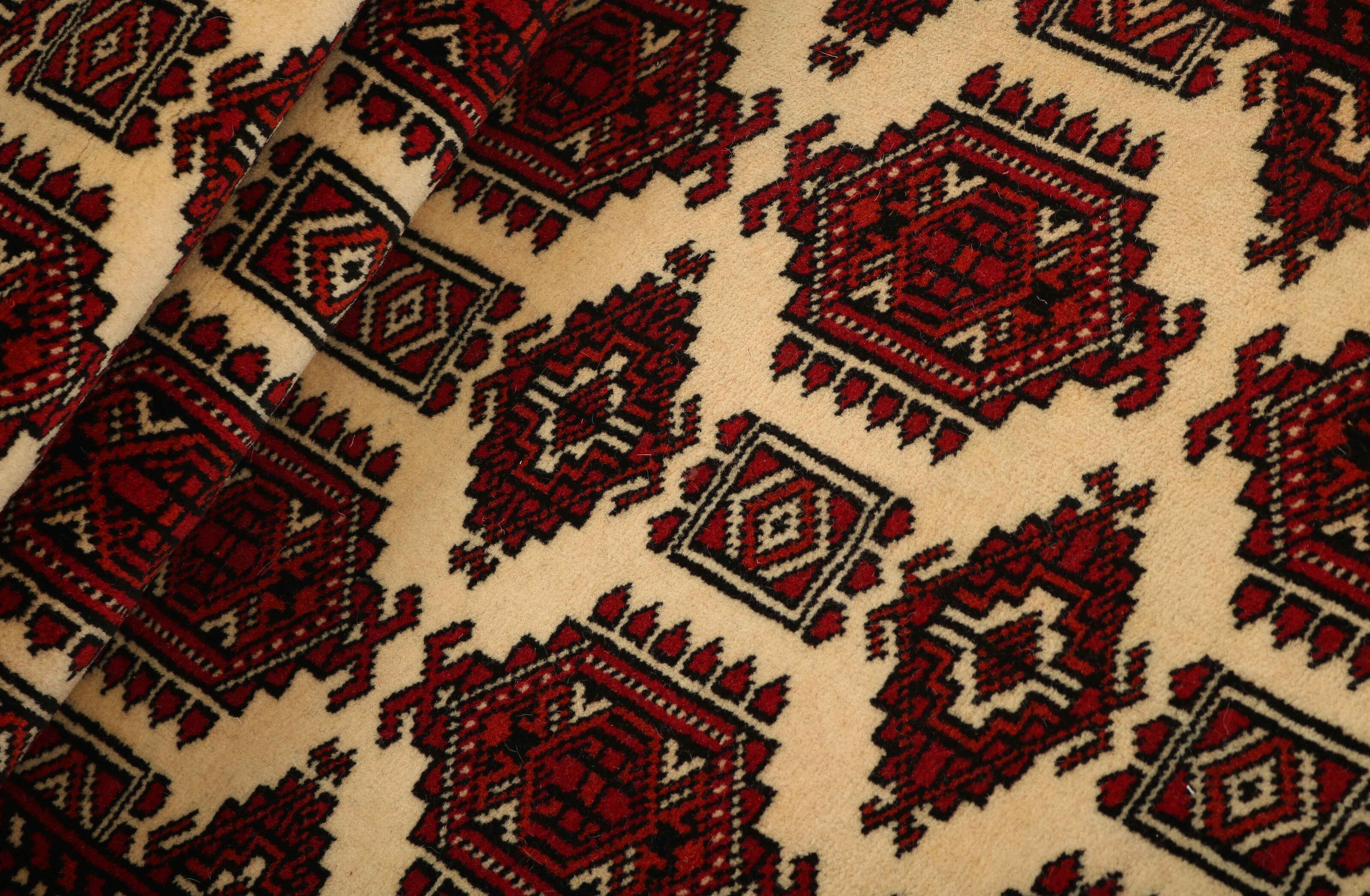 Torkaman Fine Runner