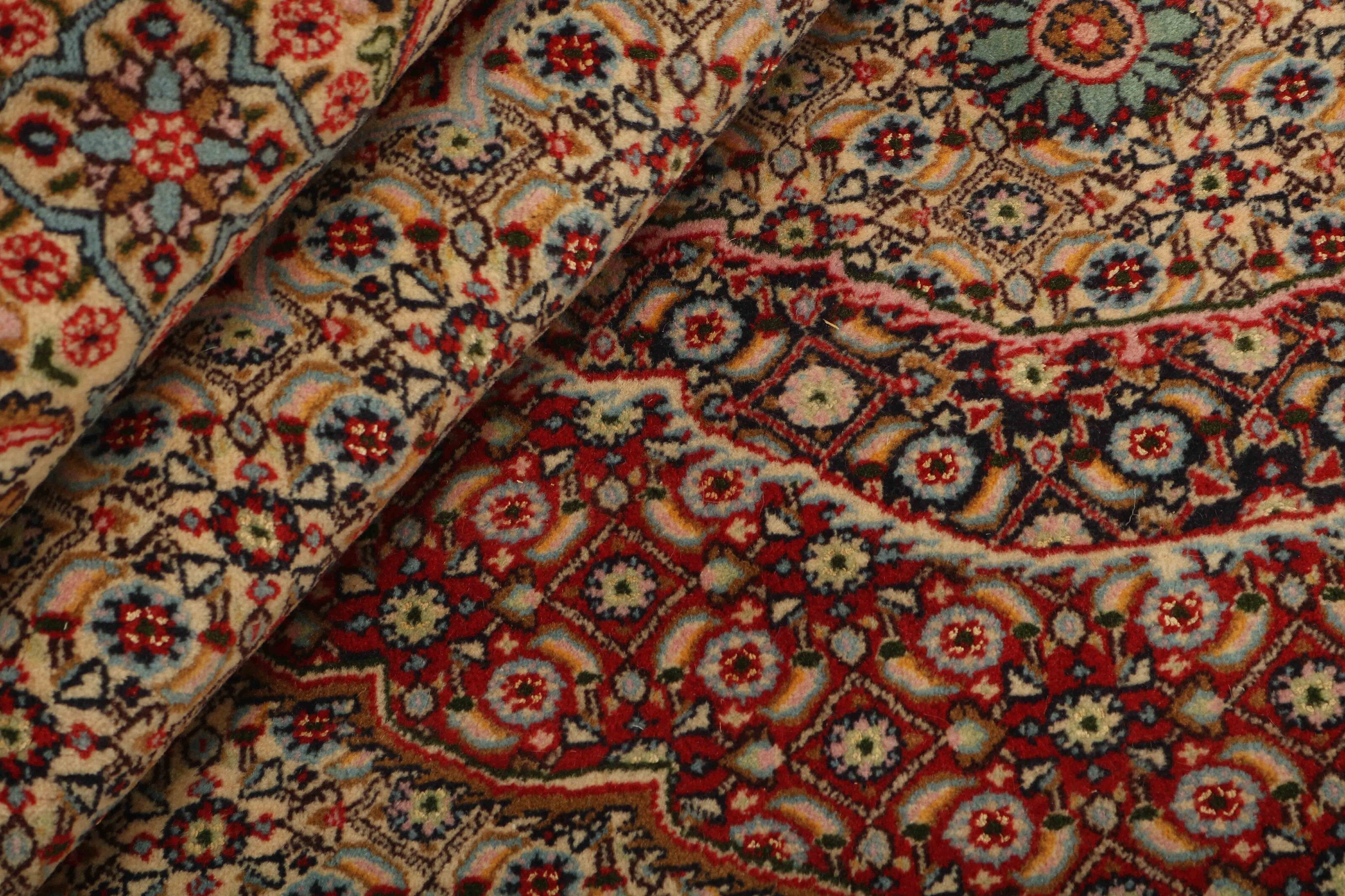 Moud Mahi 1438486