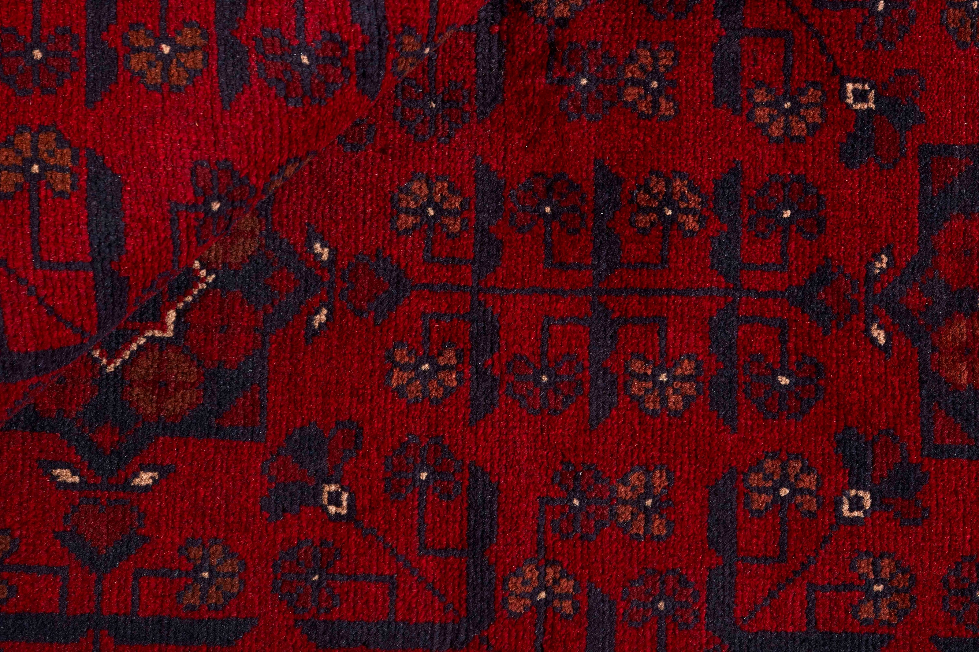 Old Afghan 1441299