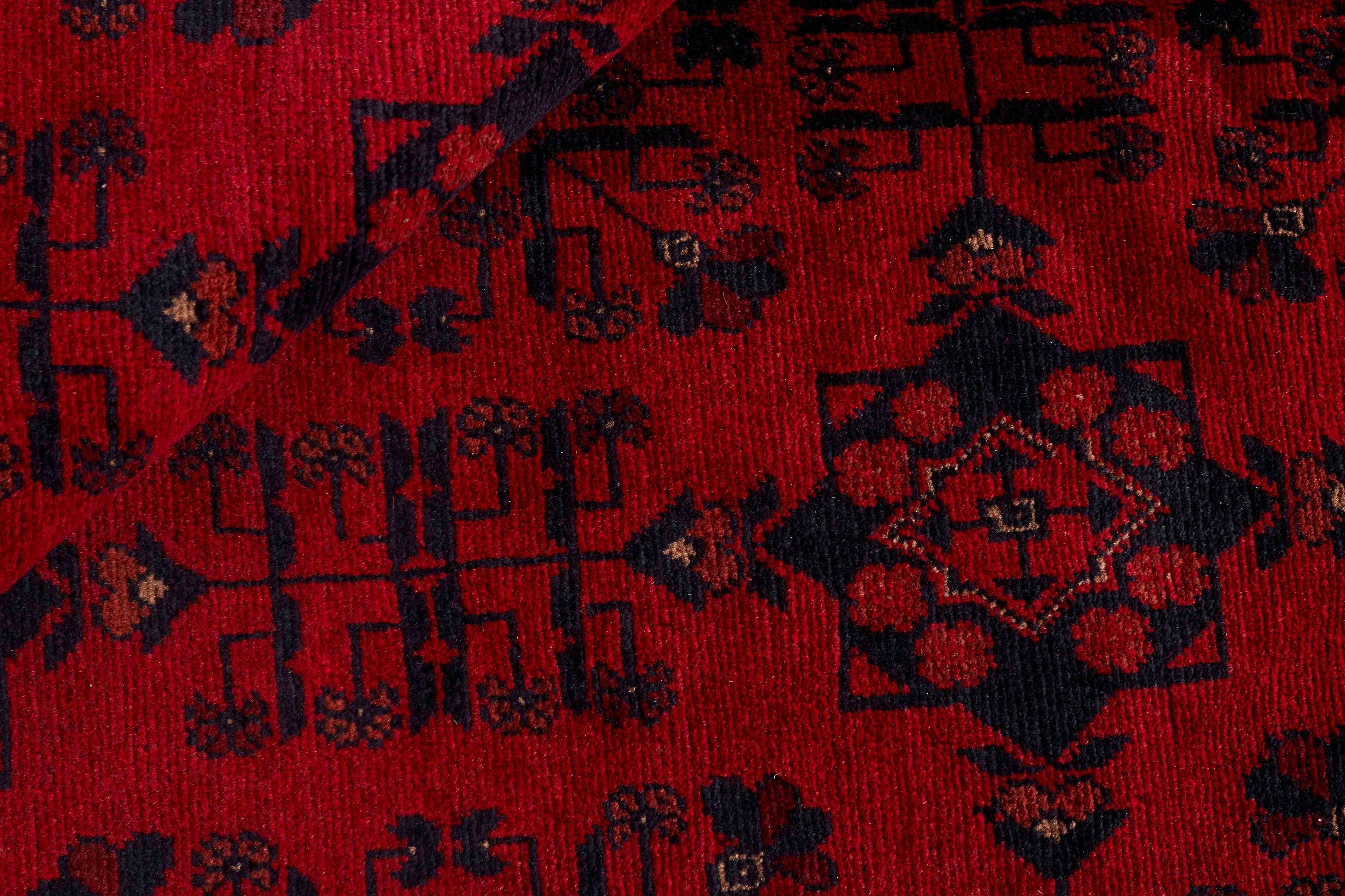 Old Afghan 1441305