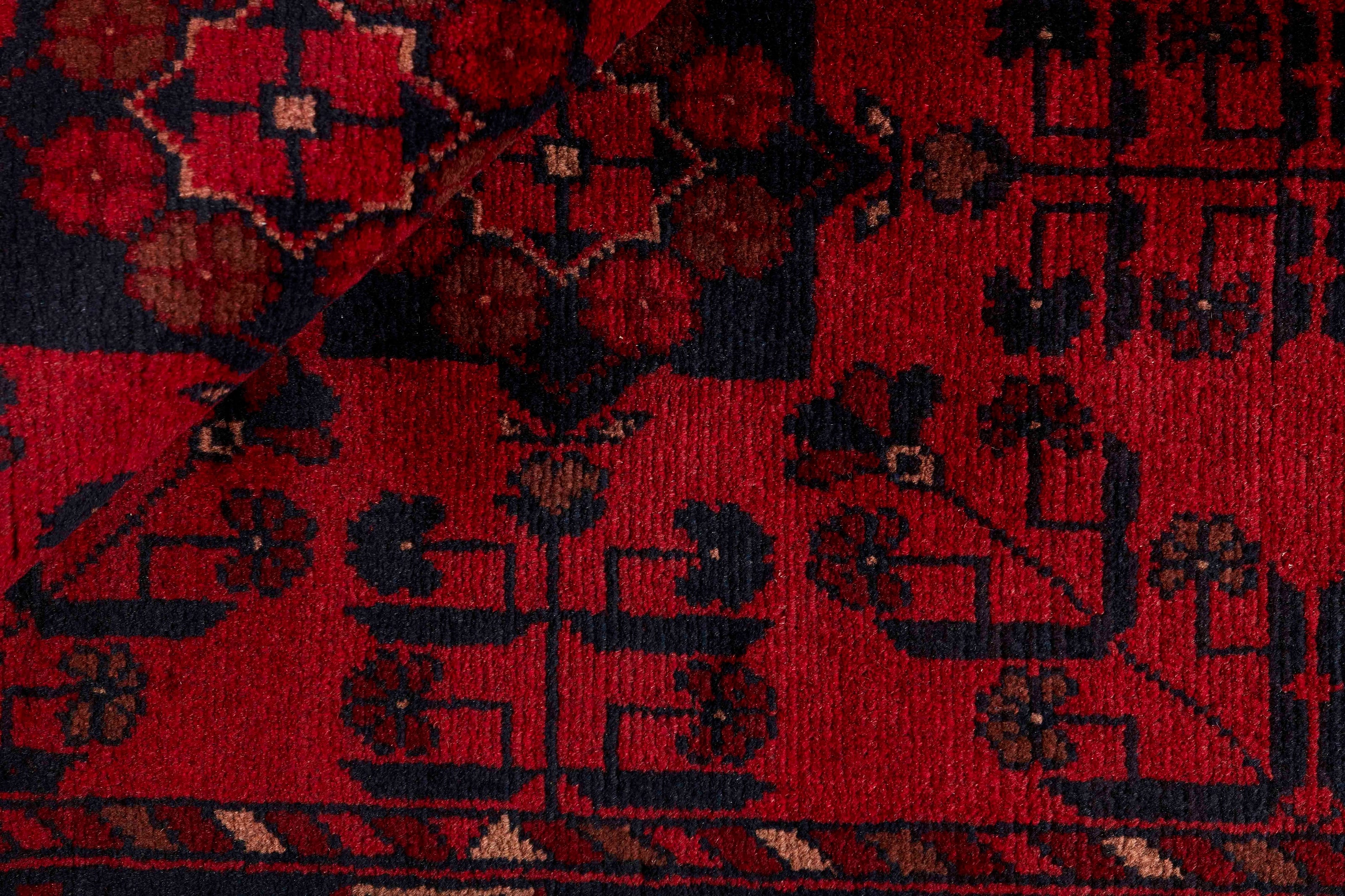 Old Afghan 1441312