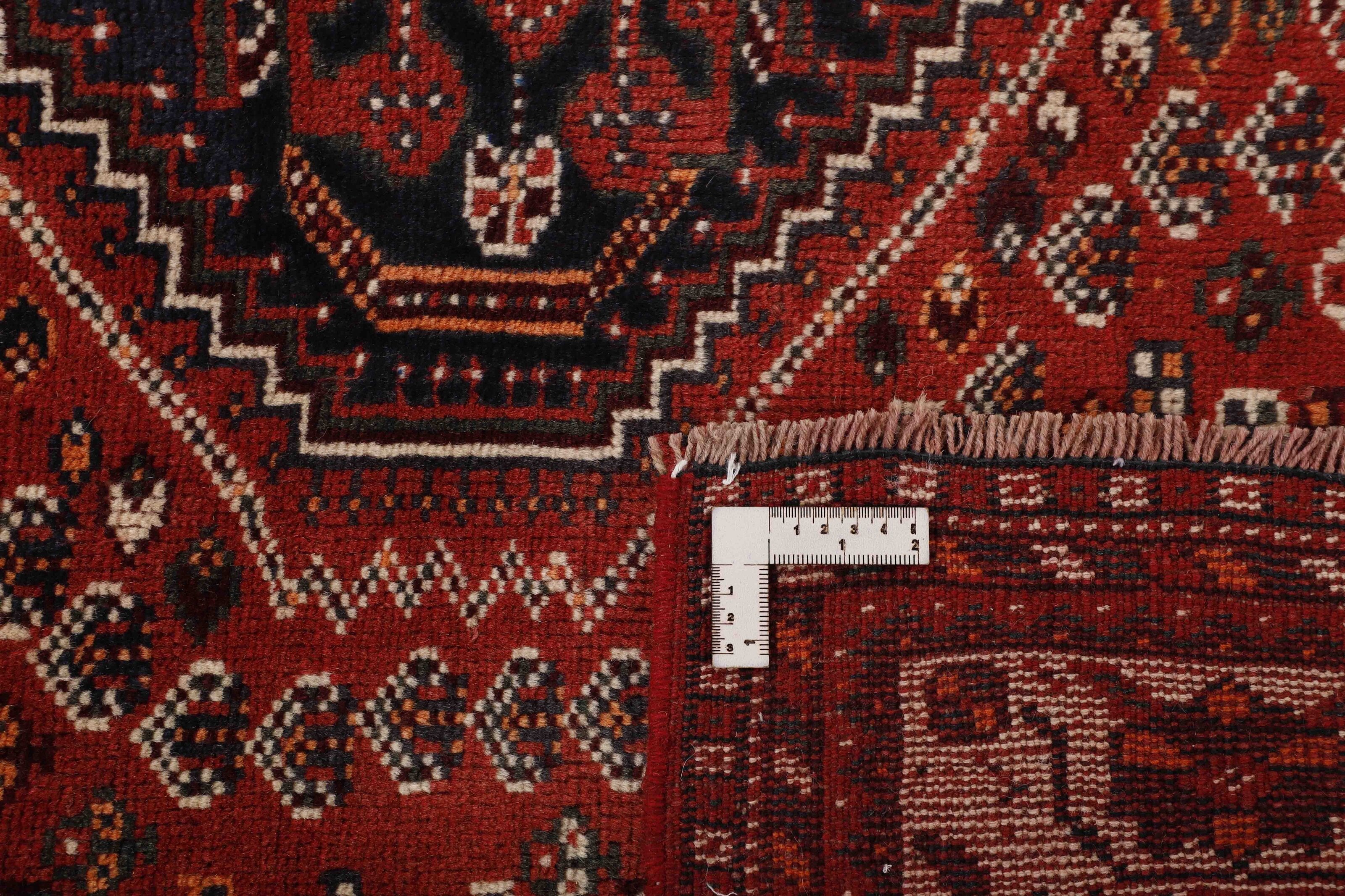Shiraz 1445783