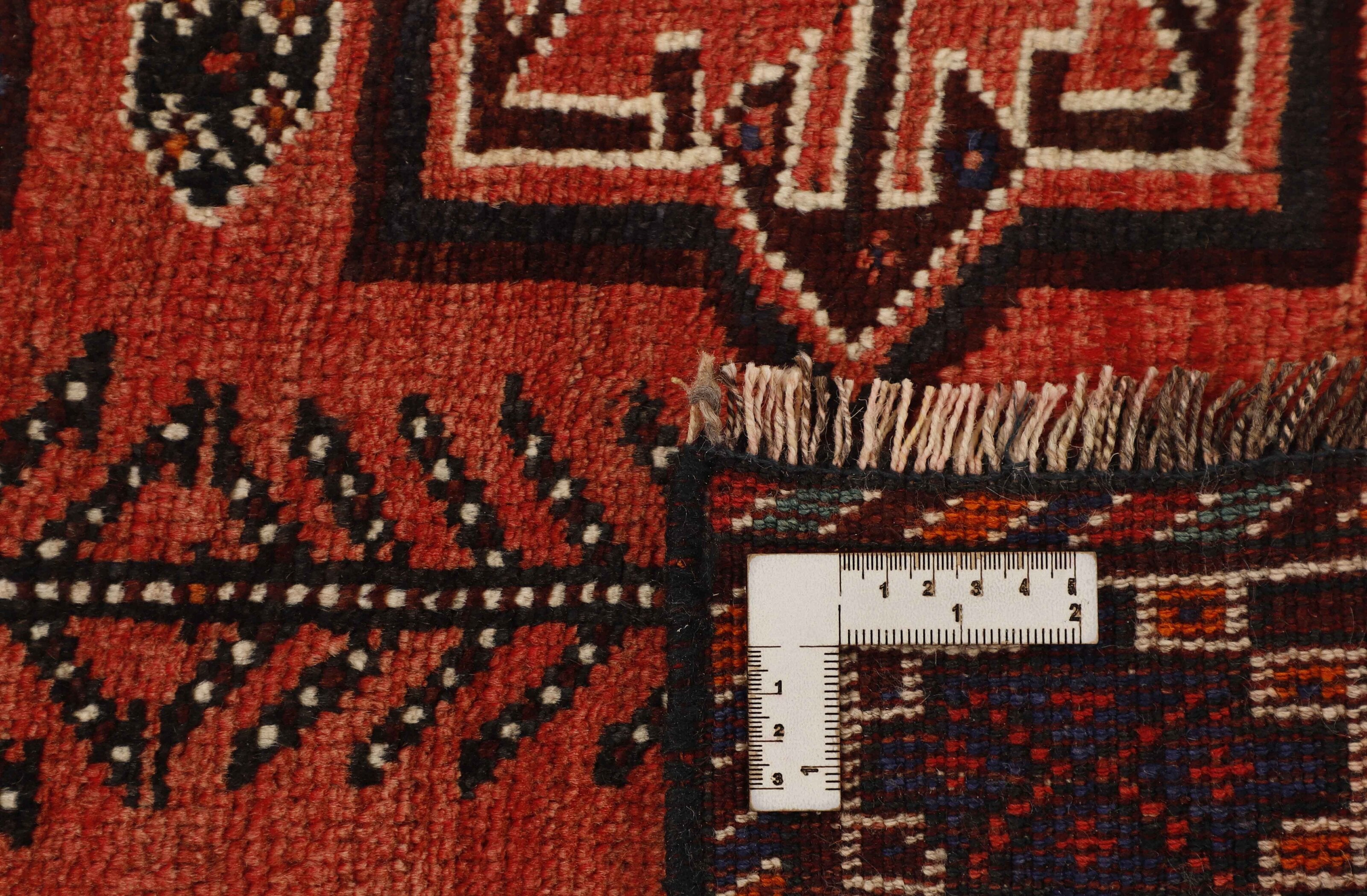 Shiraz 1445801