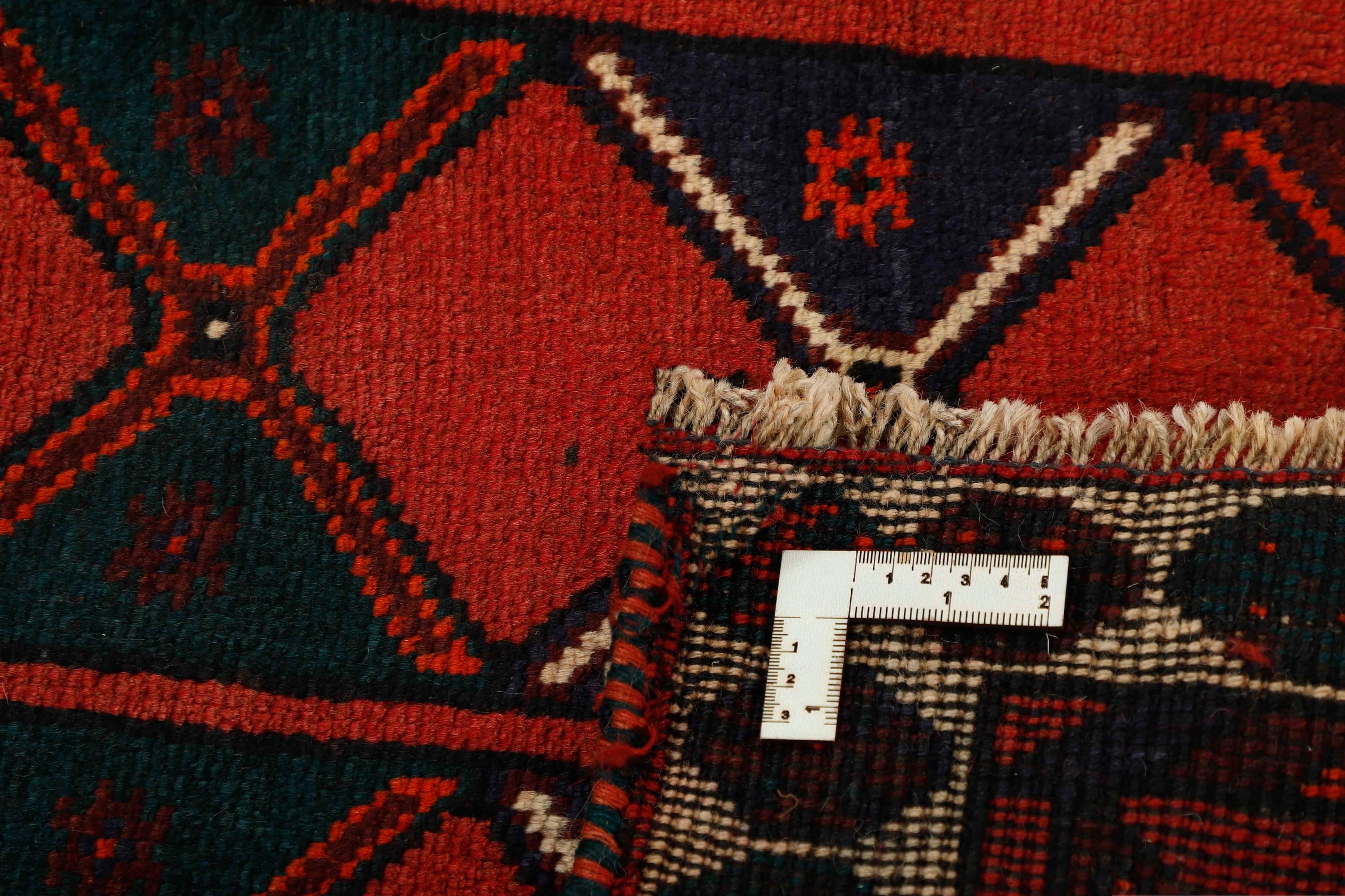 Shiraz Runner 1452782
