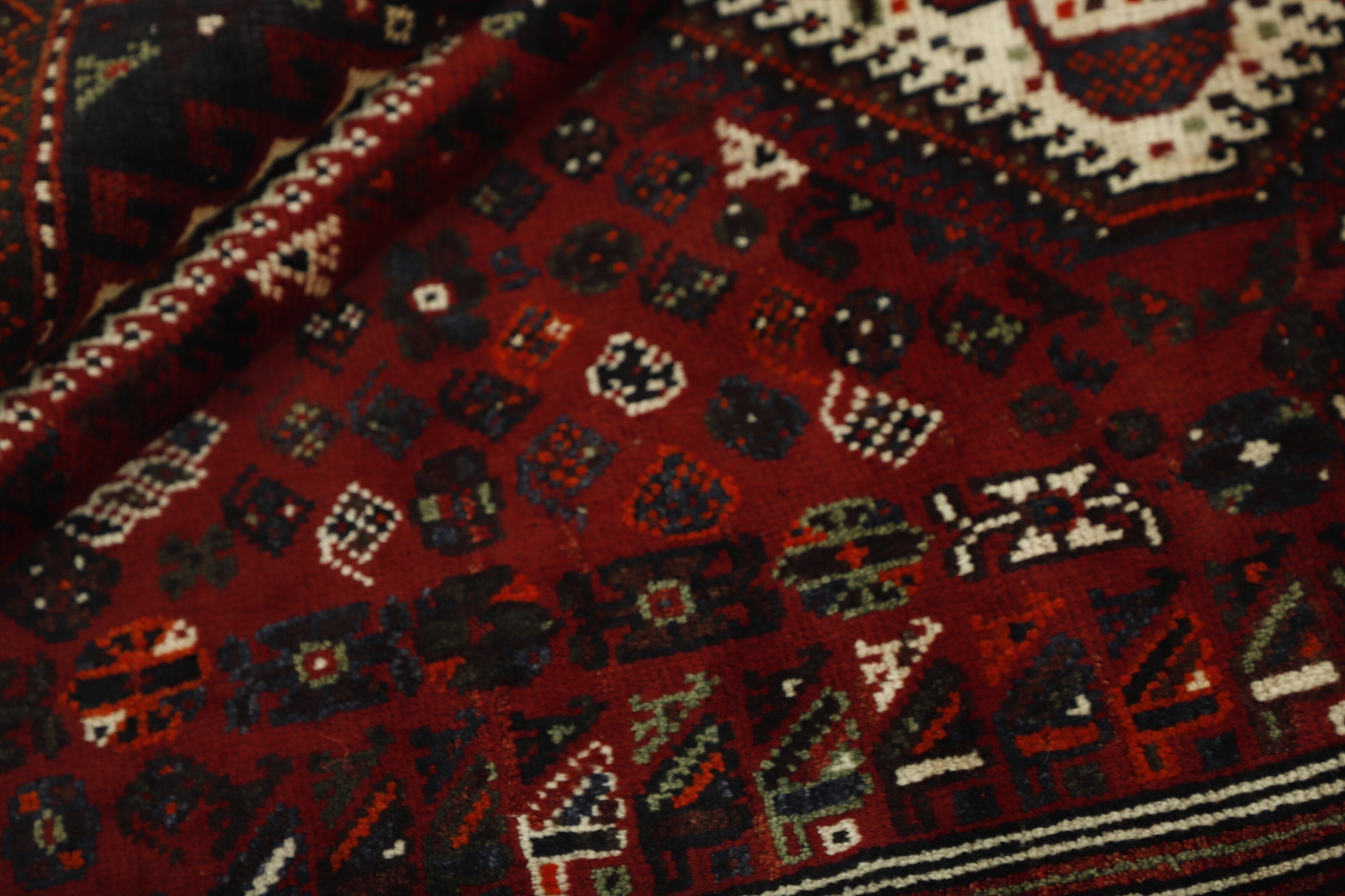 Shiraz 1452806