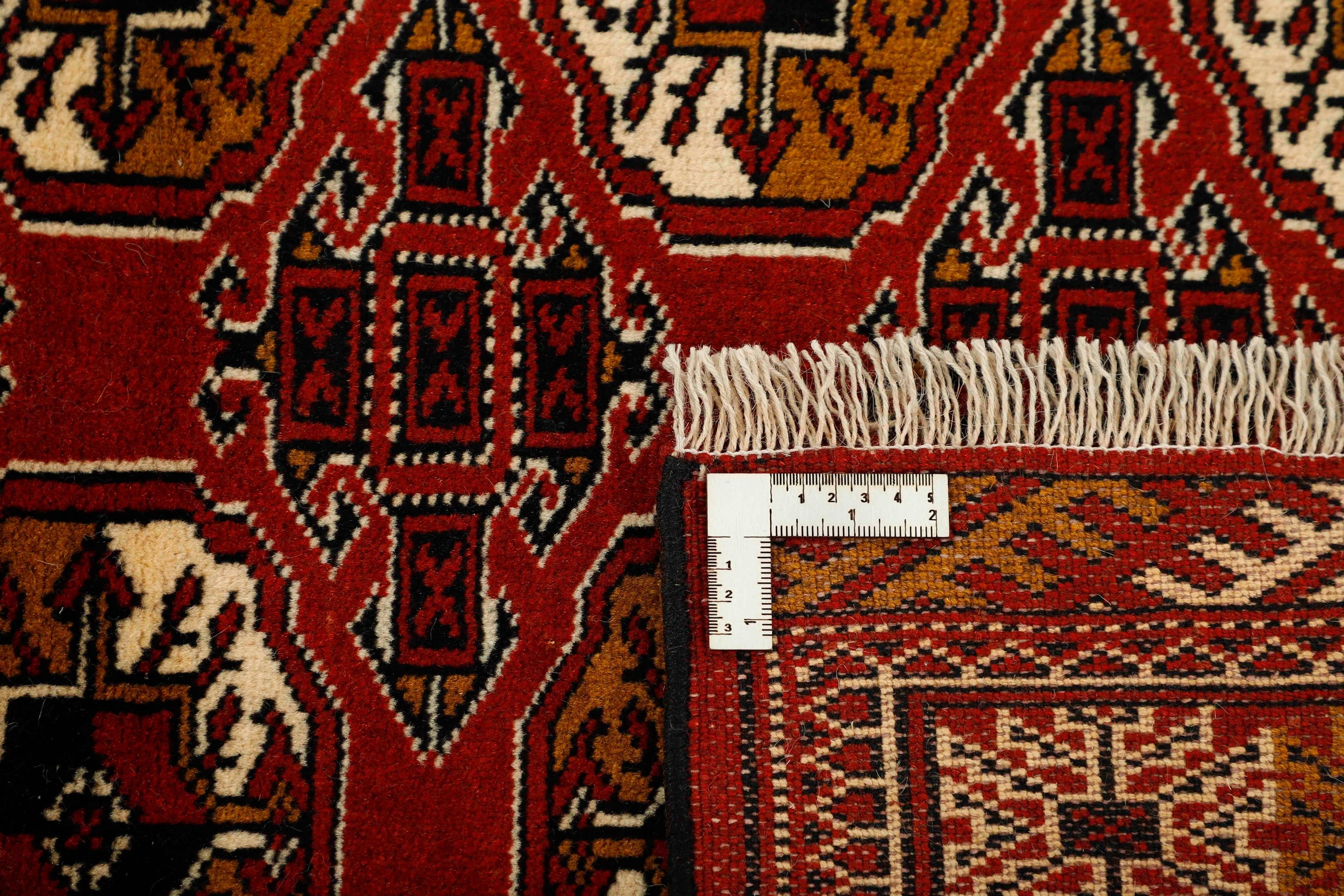 Torkaman 1465163