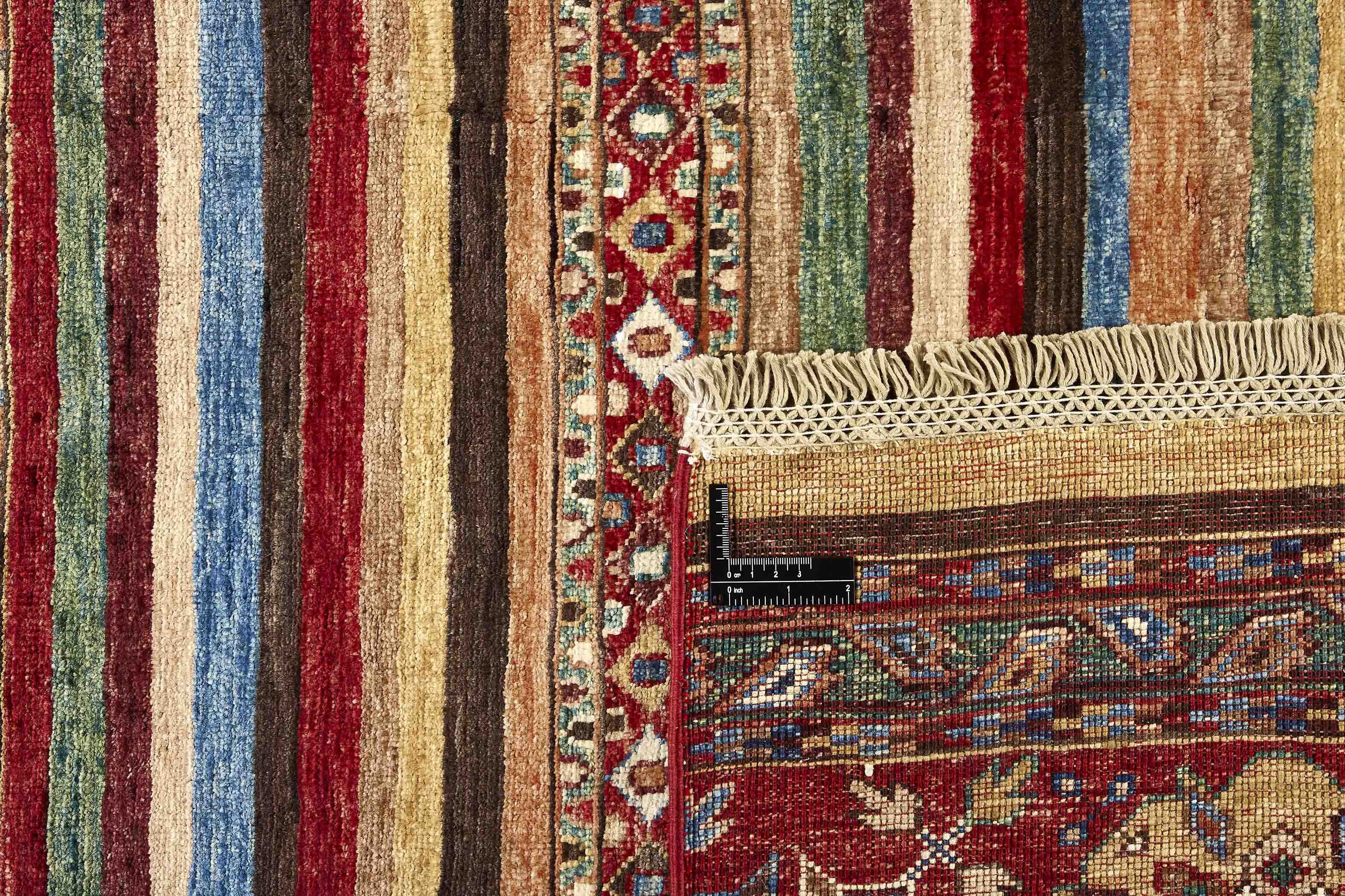 Shall Collection 1475948