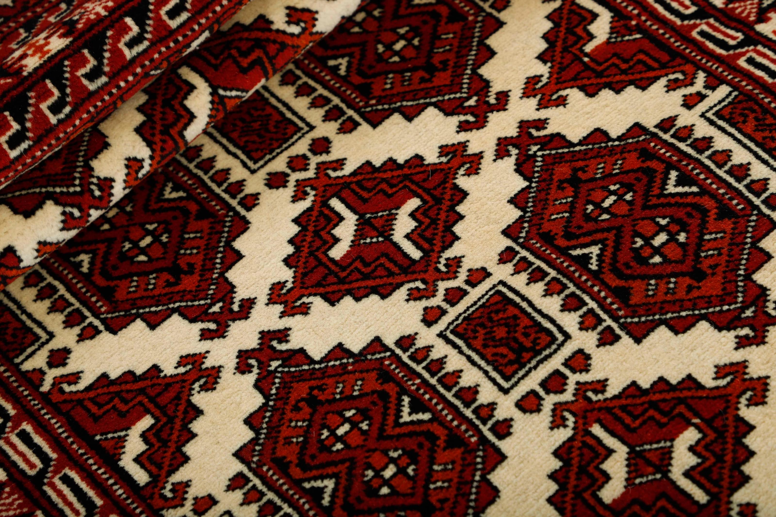 Torkaman Fine Runner 1477043