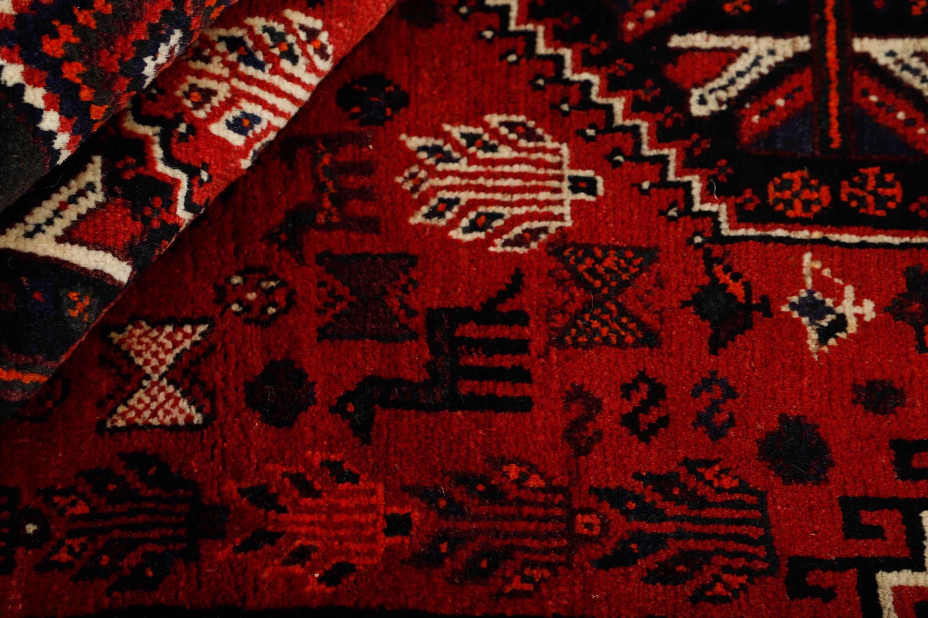 Shiraz 1477524
