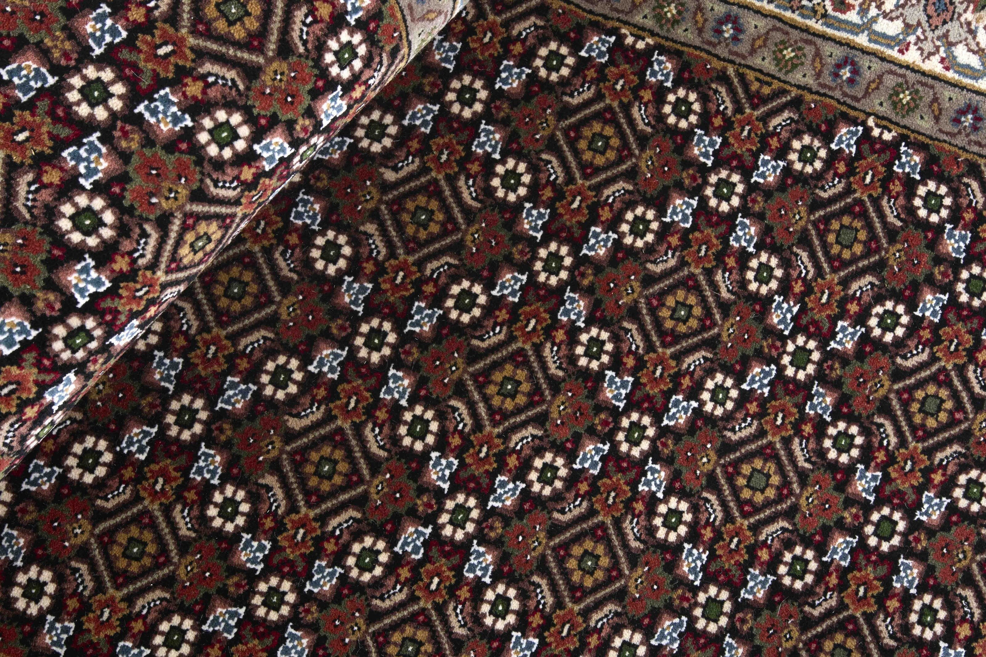 Tabriz Indi Runner 1483608