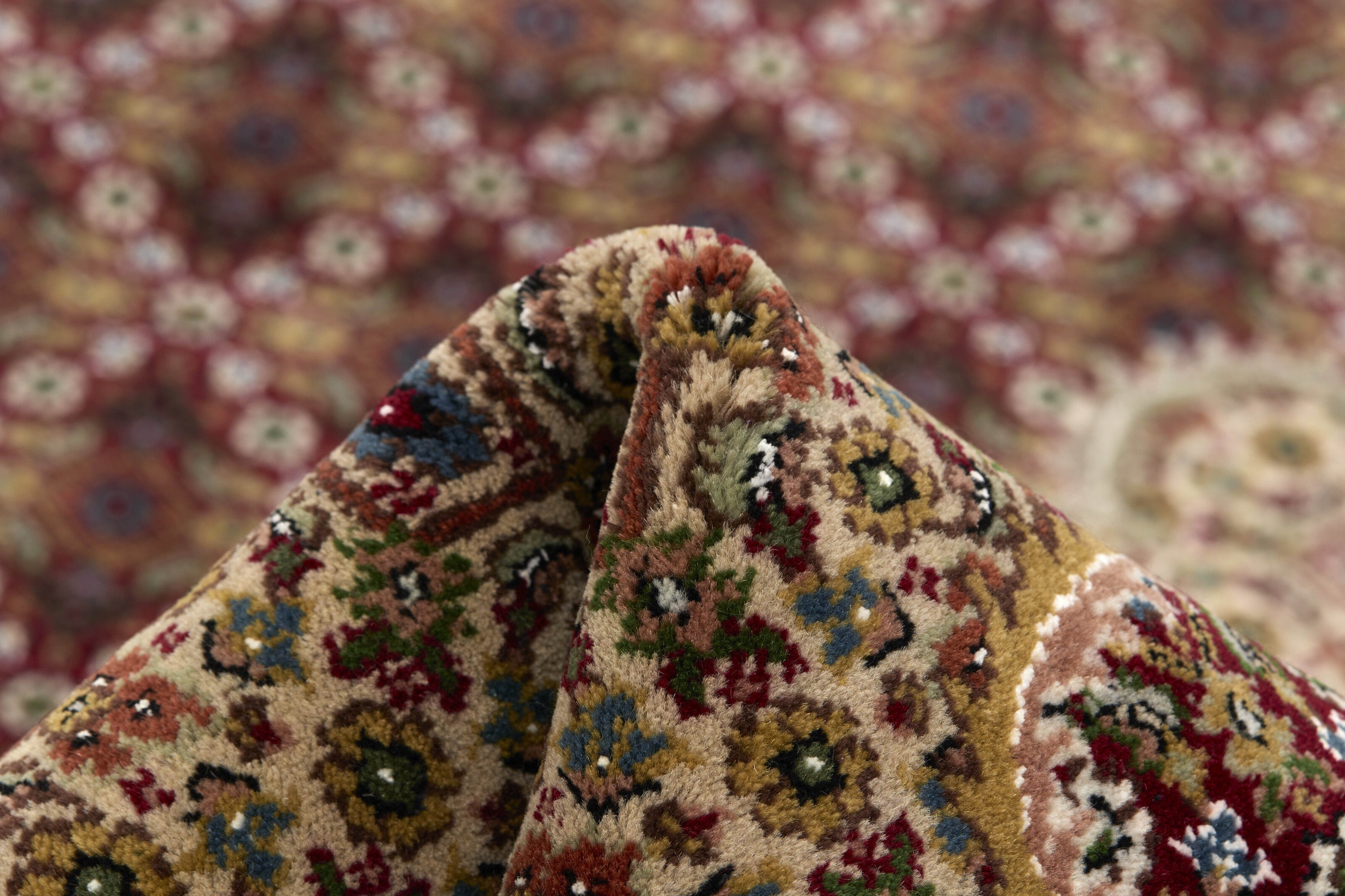 Tabriz Indi 1483625
