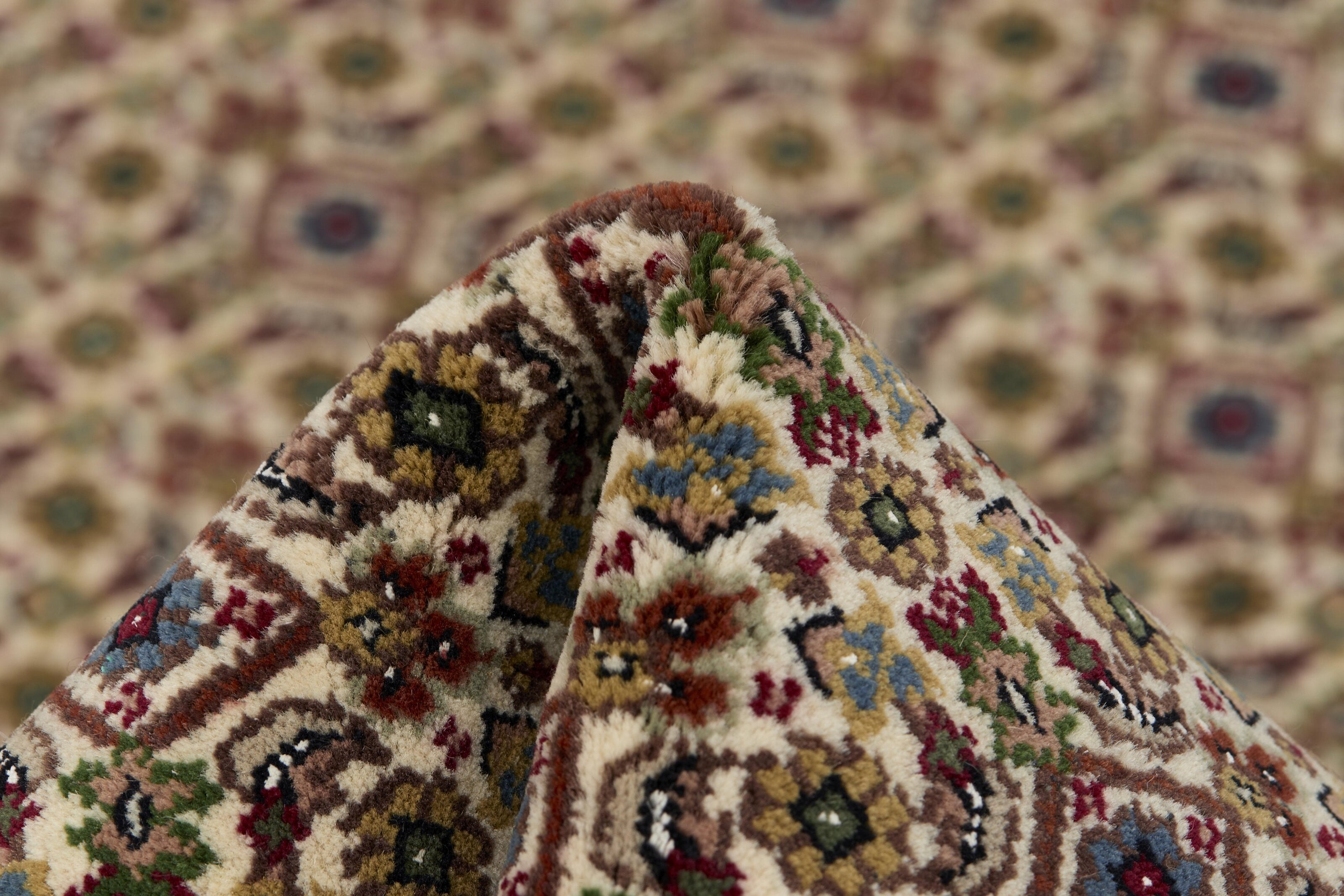 Tabriz Indi 1483739