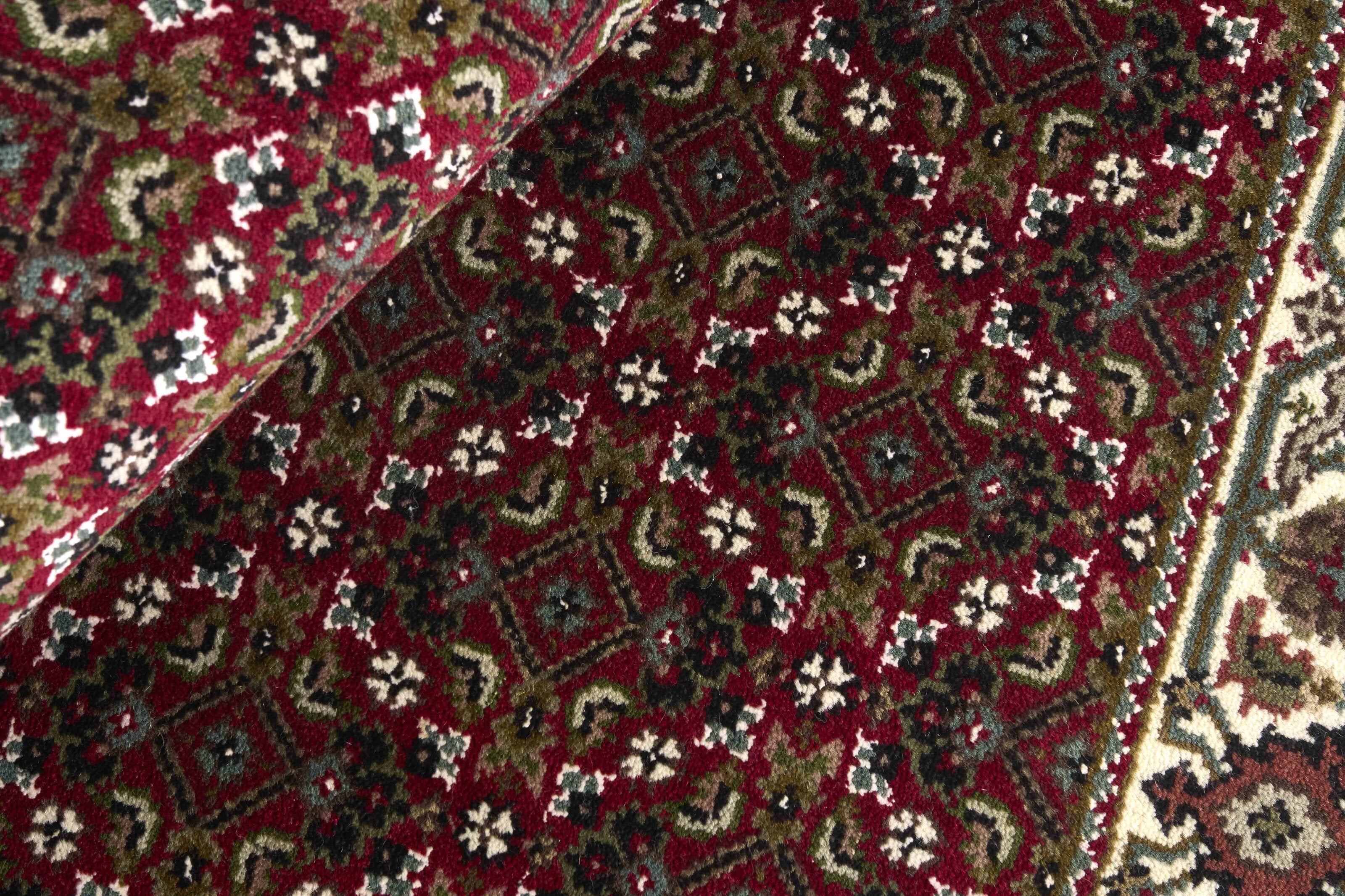 Tabriz Indi 1483811