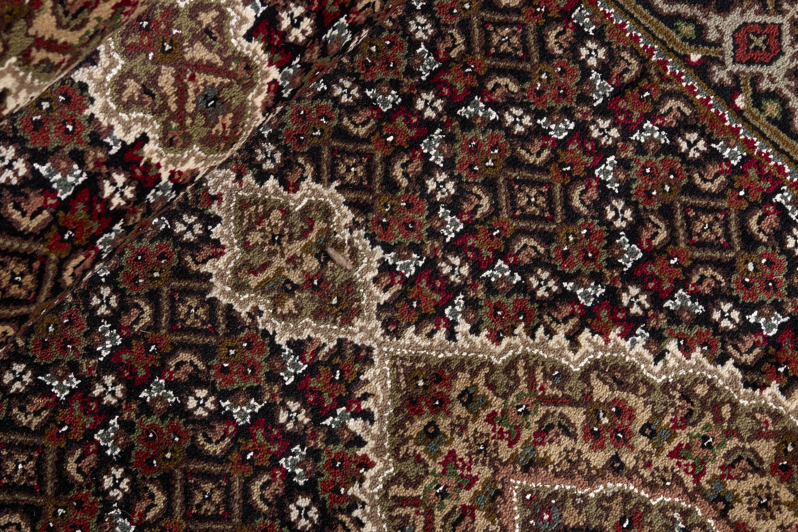 Tabriz Indi Runner 1483884