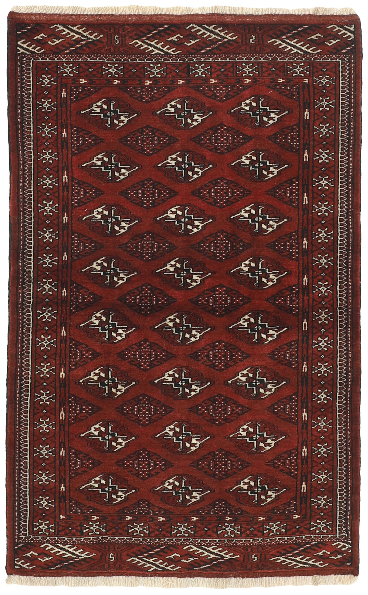 Torkaman 1484955