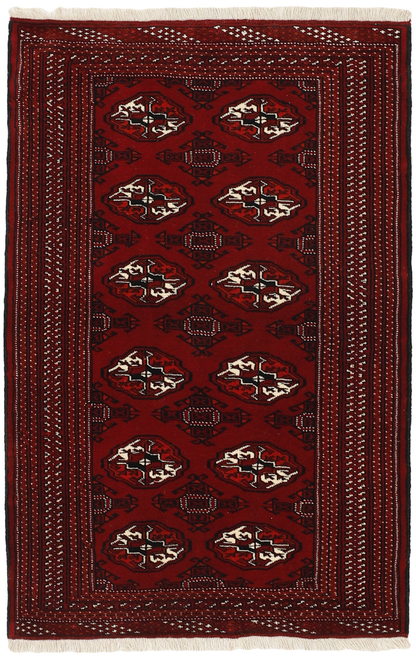Torkaman 1484962