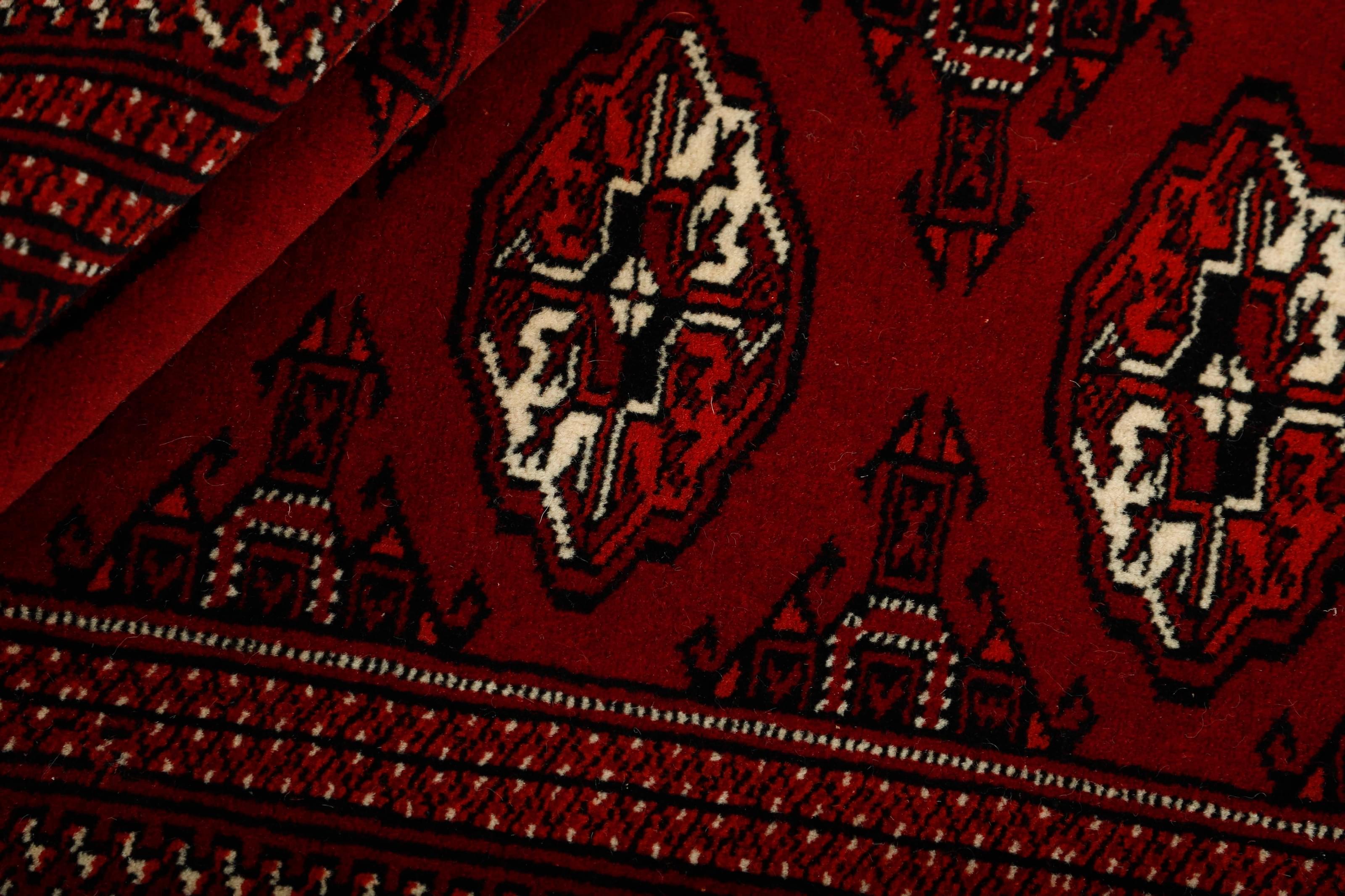 Torkaman 1484962