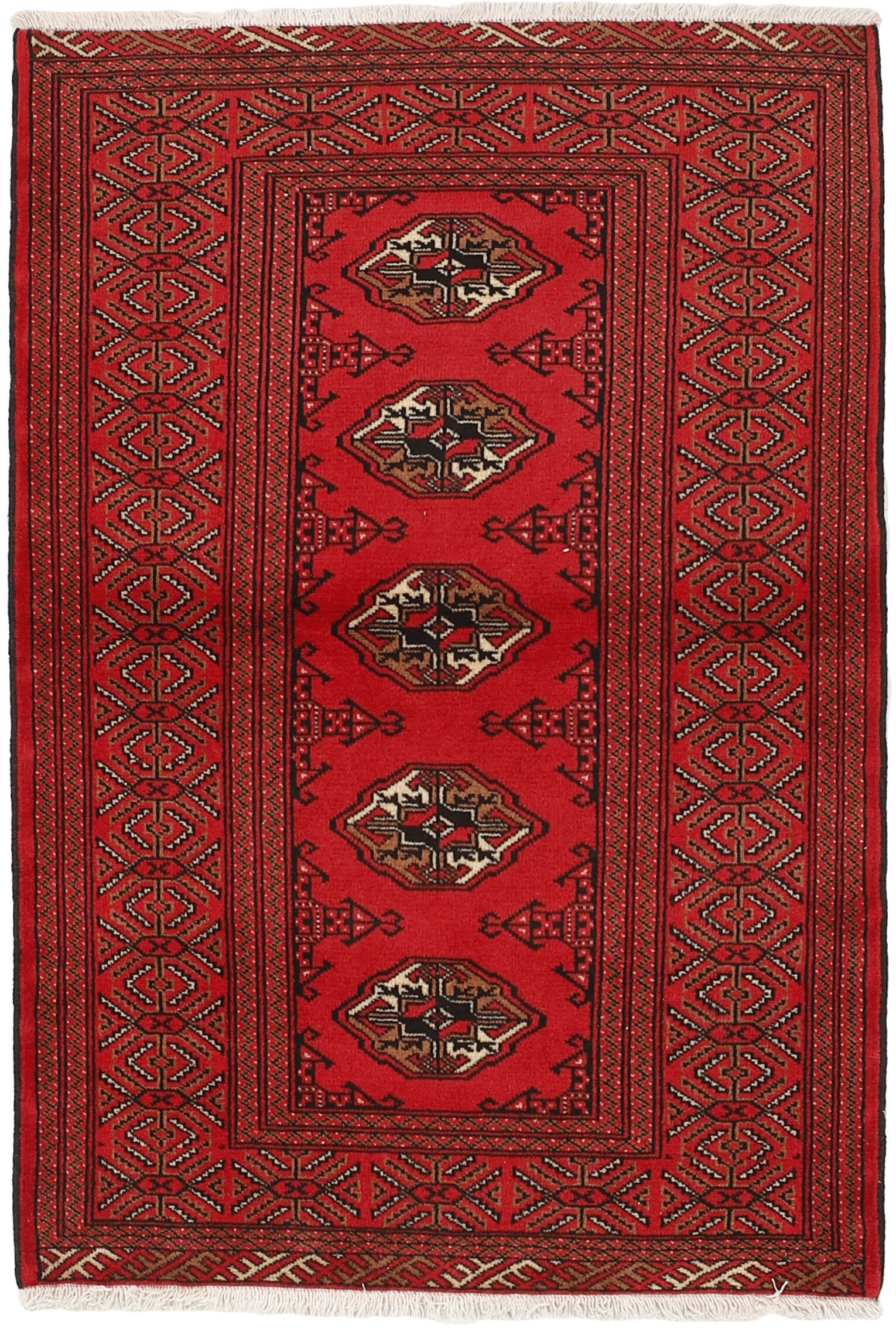 Torkaman 1484971