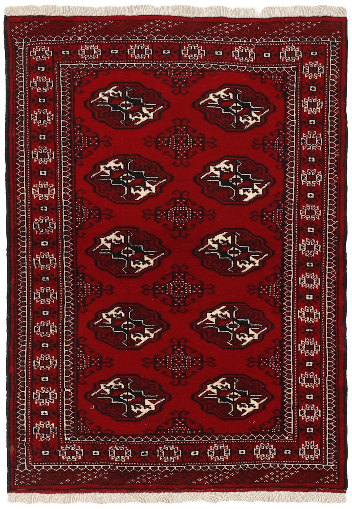 Torkaman 1484985