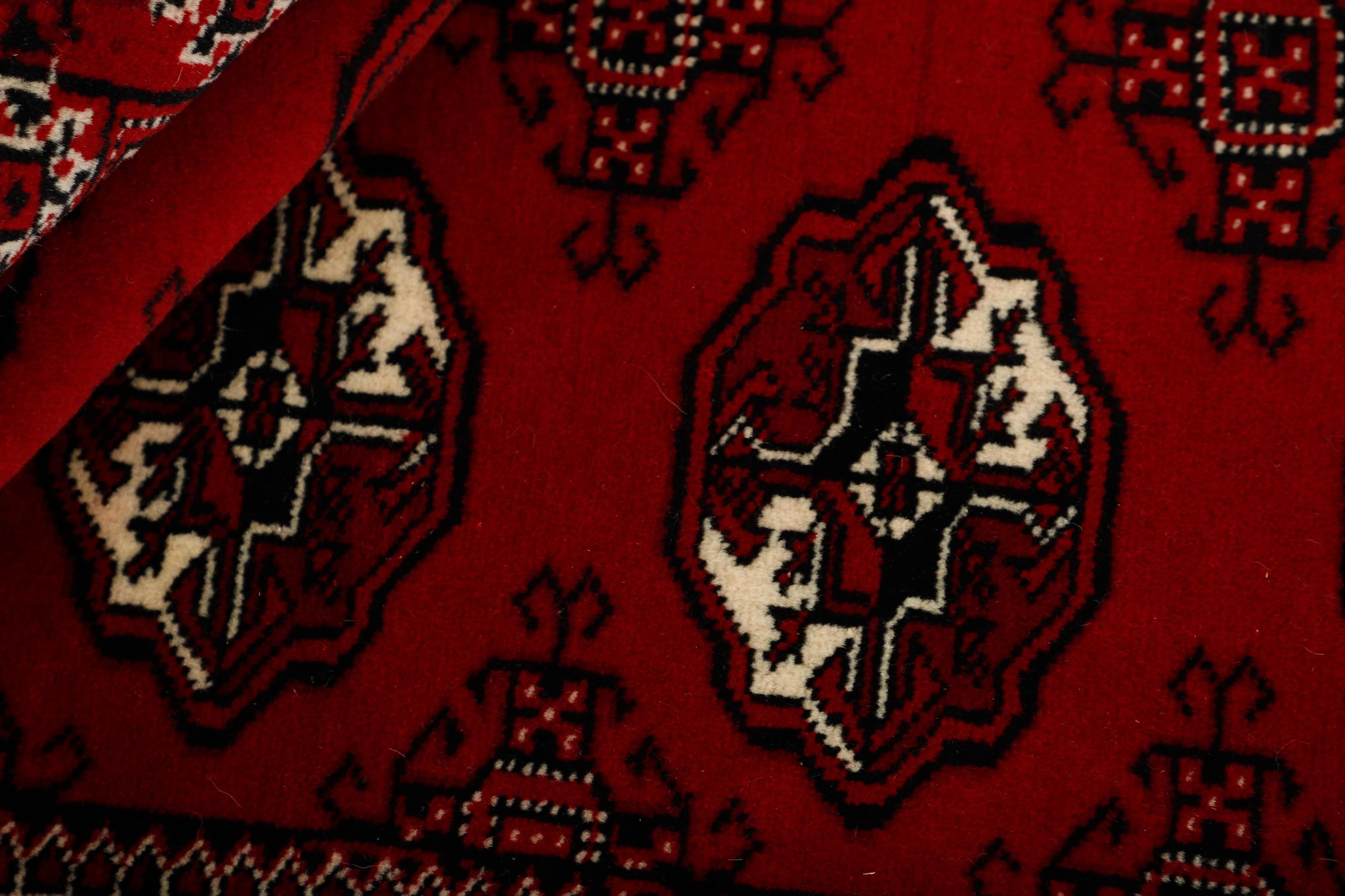 Torkaman 1484985