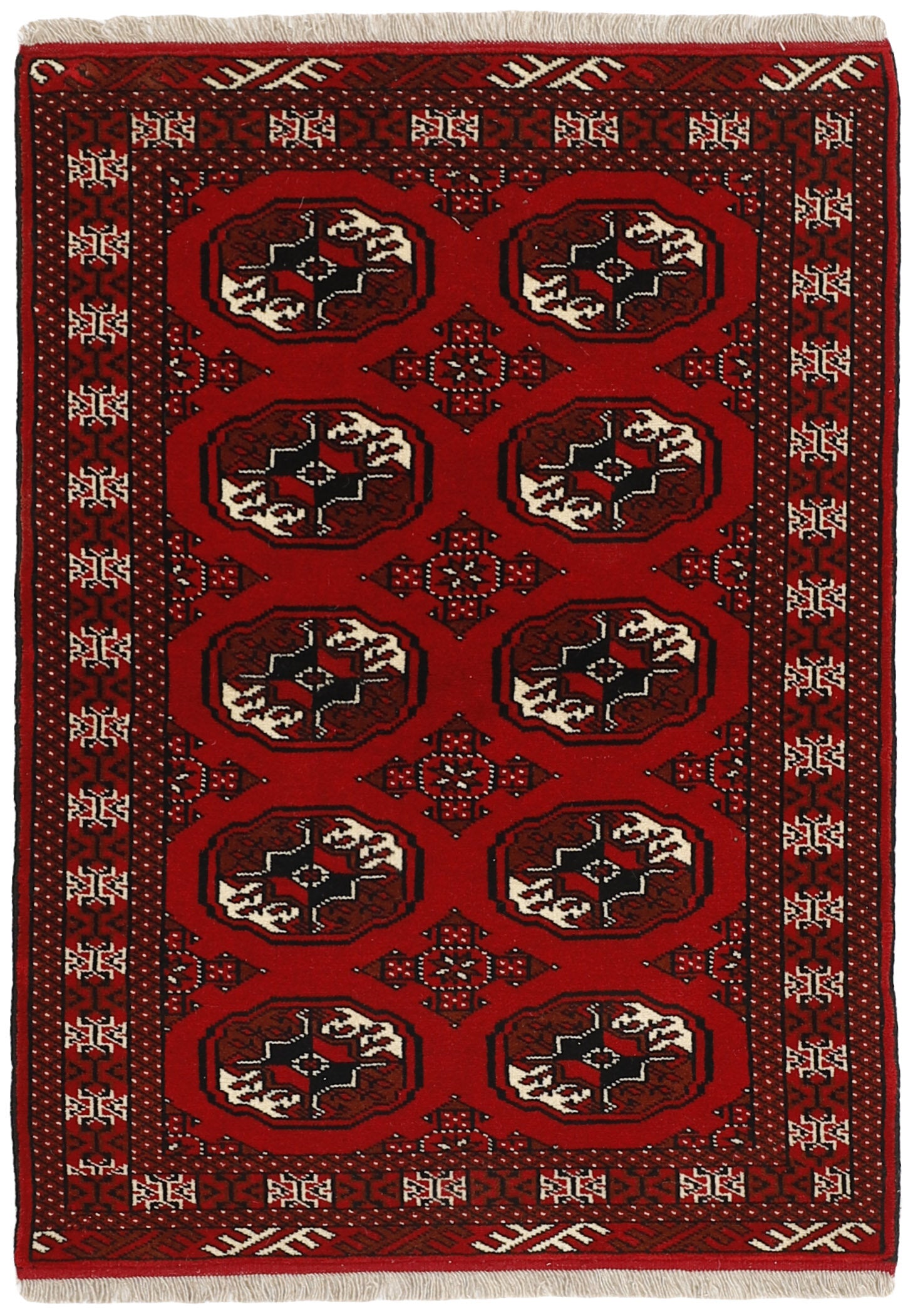 Torkaman 1484990