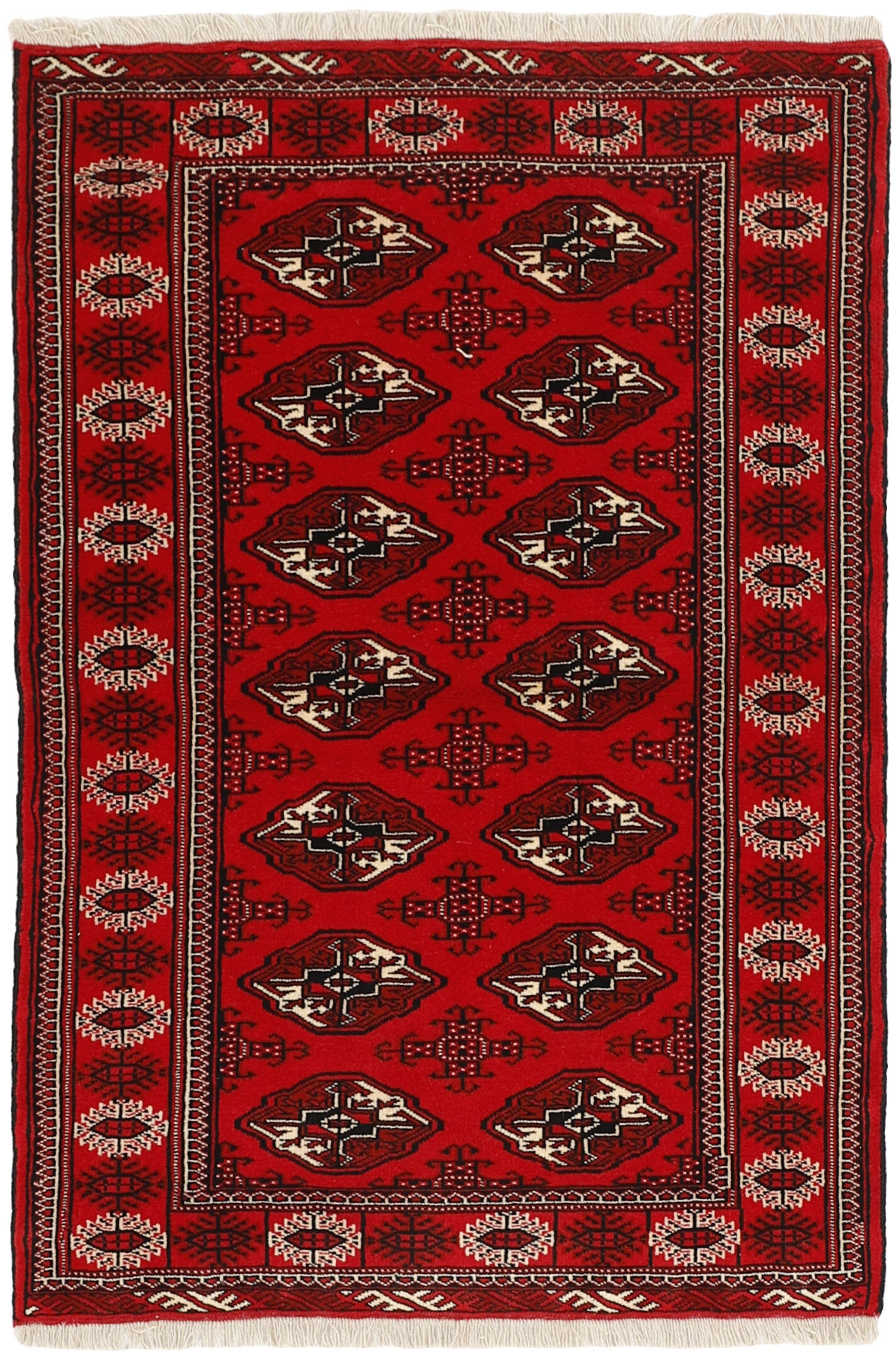 Torkaman 1484993