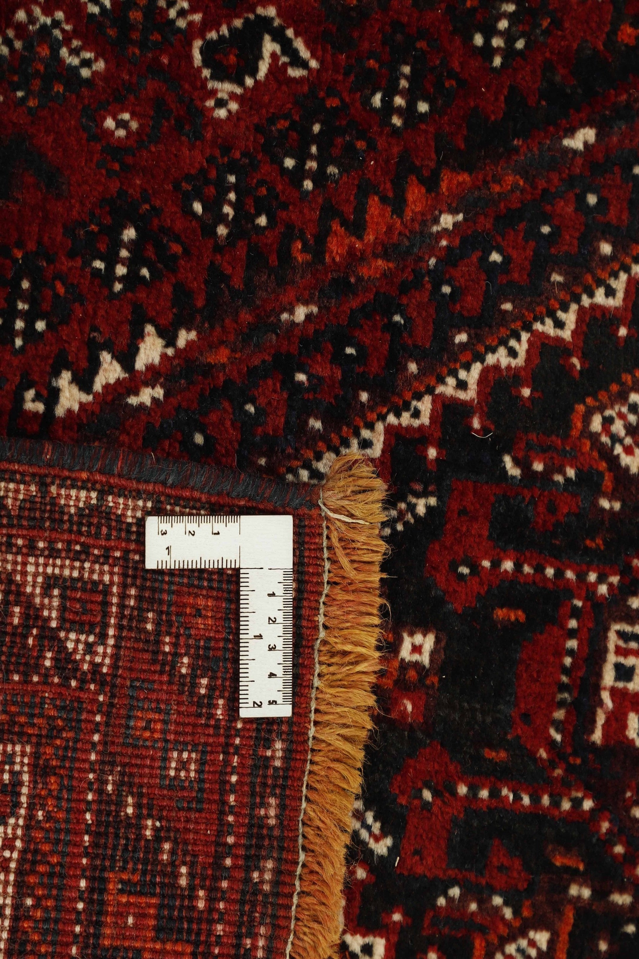 Shiraz 1485425