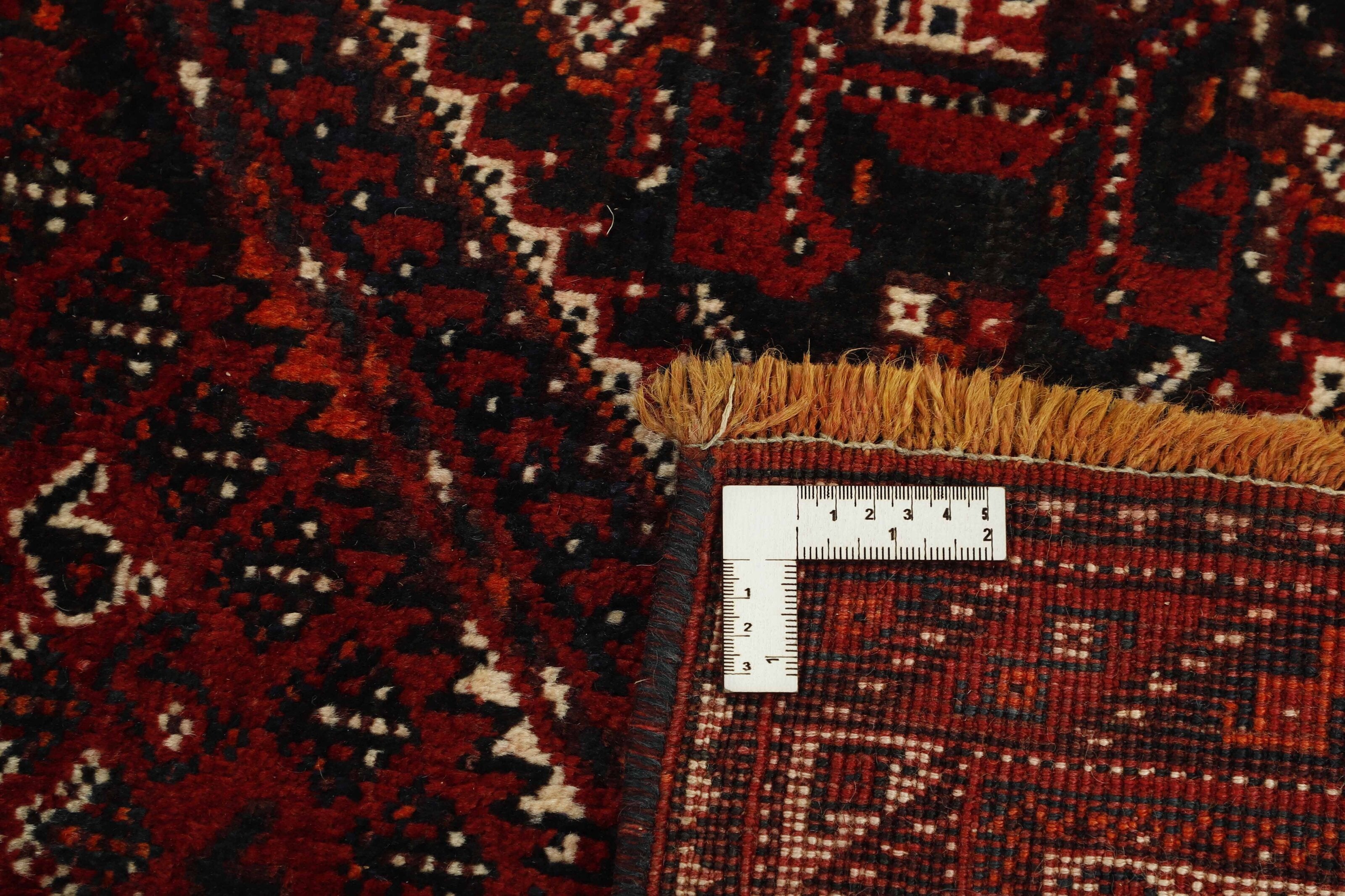 Shiraz 1485425