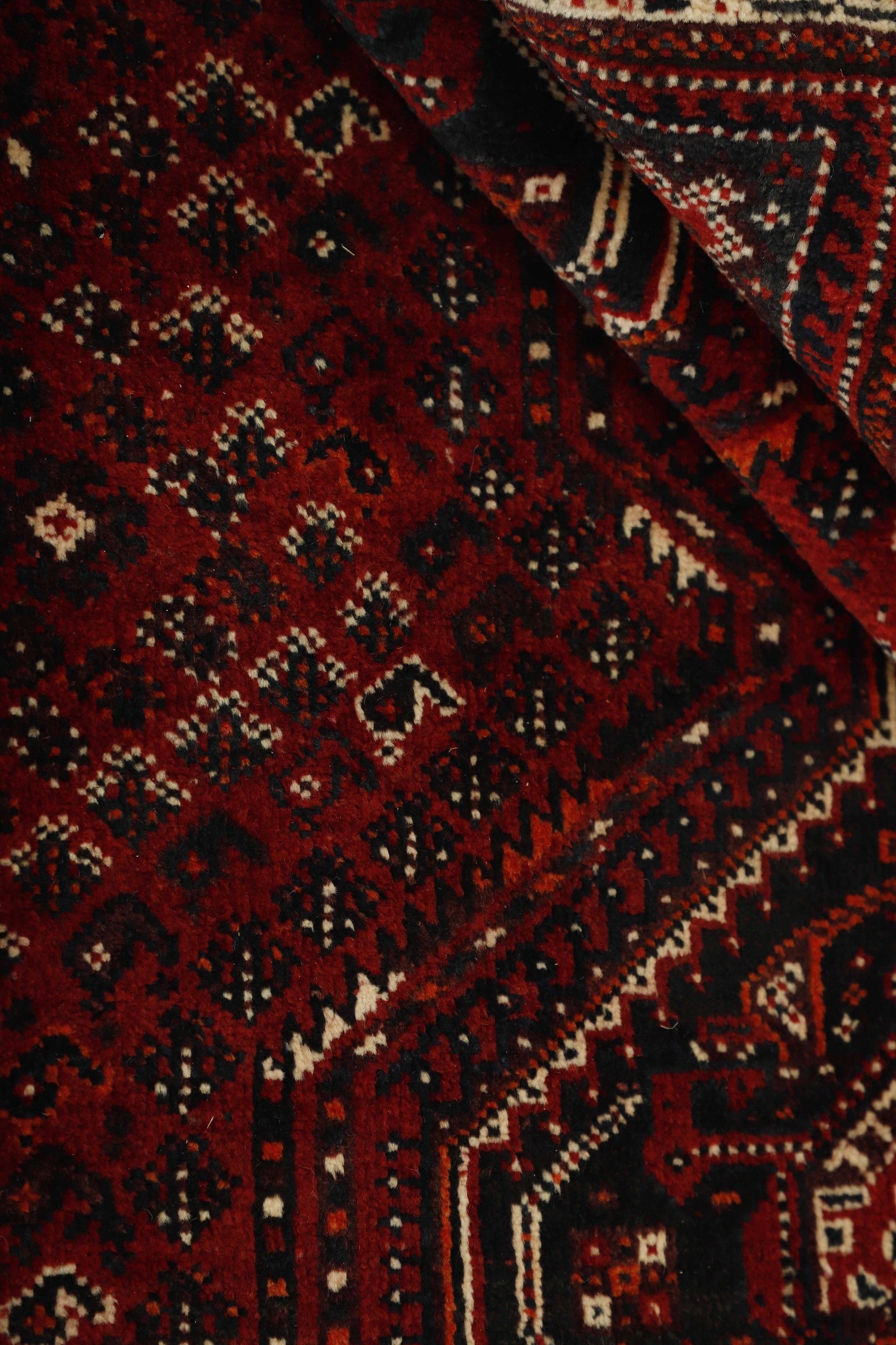 Shiraz 1485425