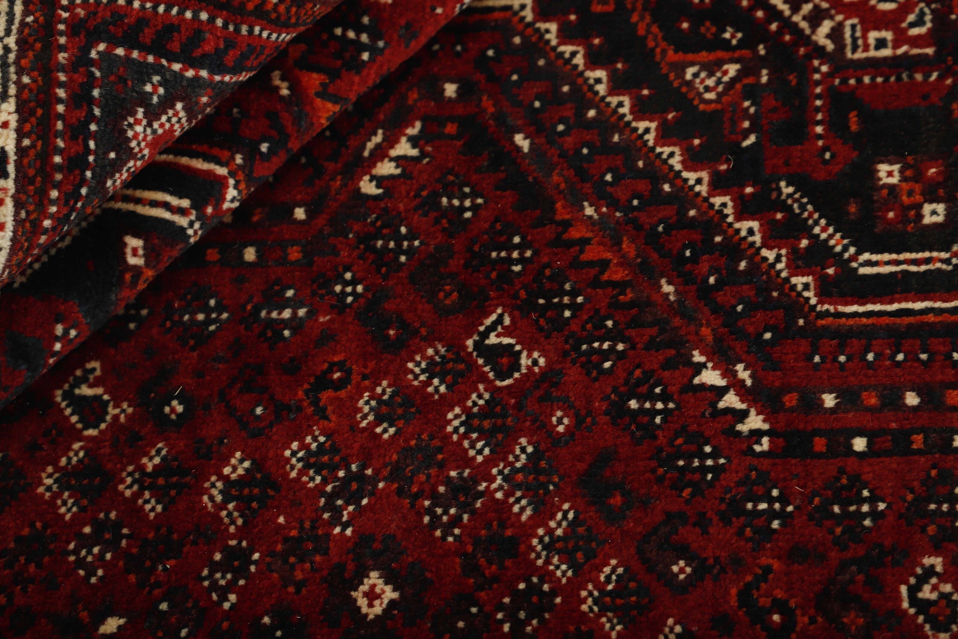 Shiraz 1485425
