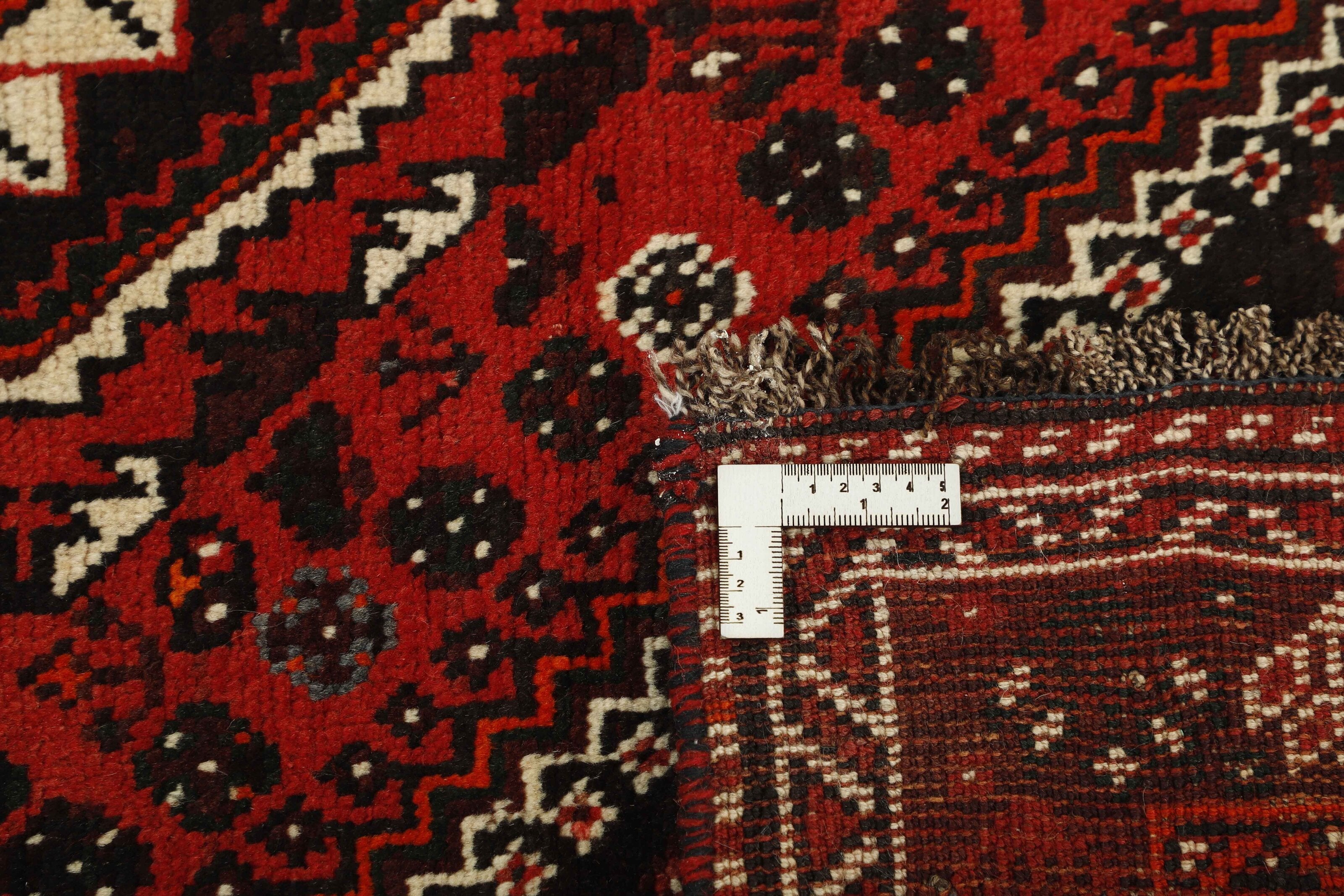 Shiraz 1485429