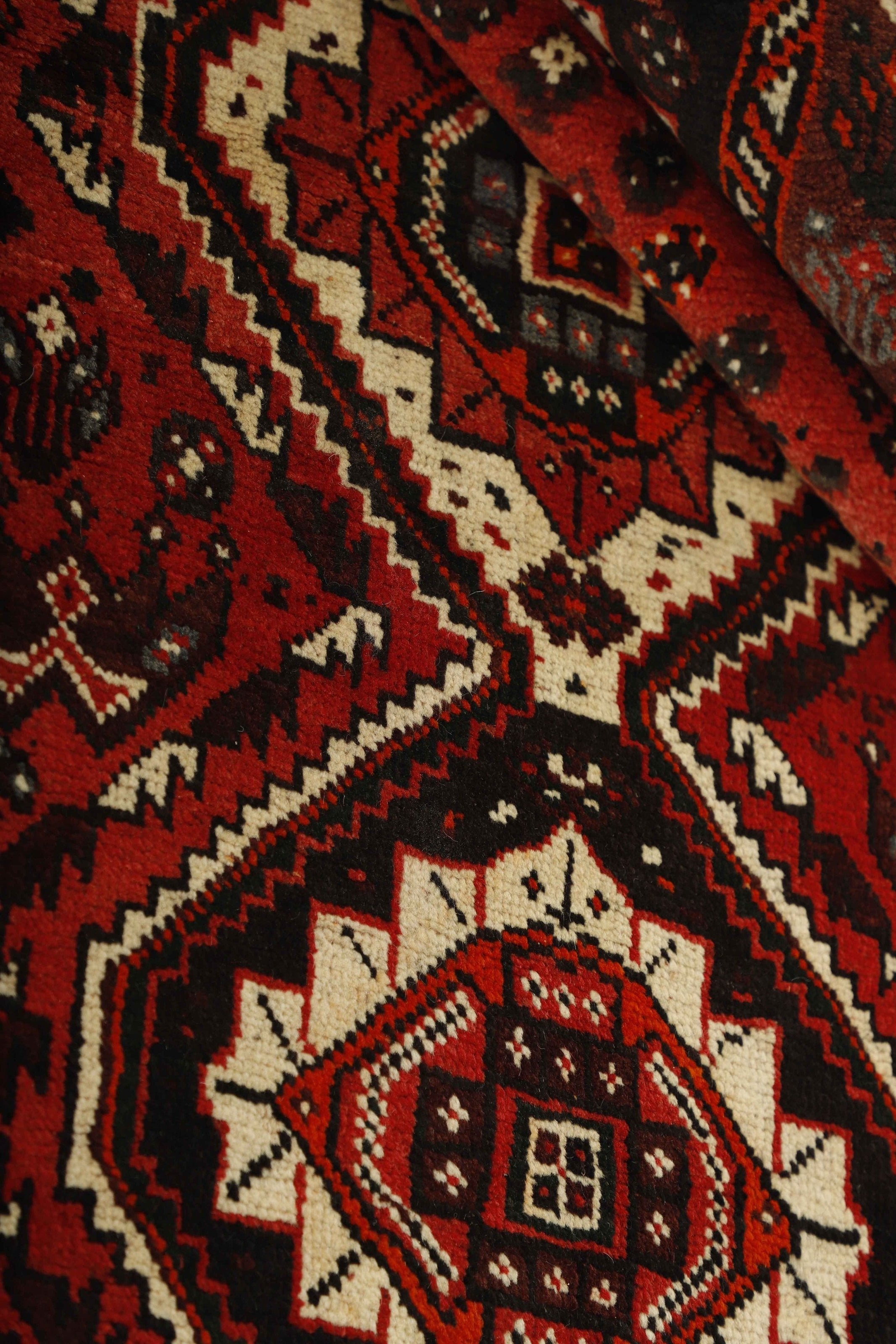 Shiraz 1485429