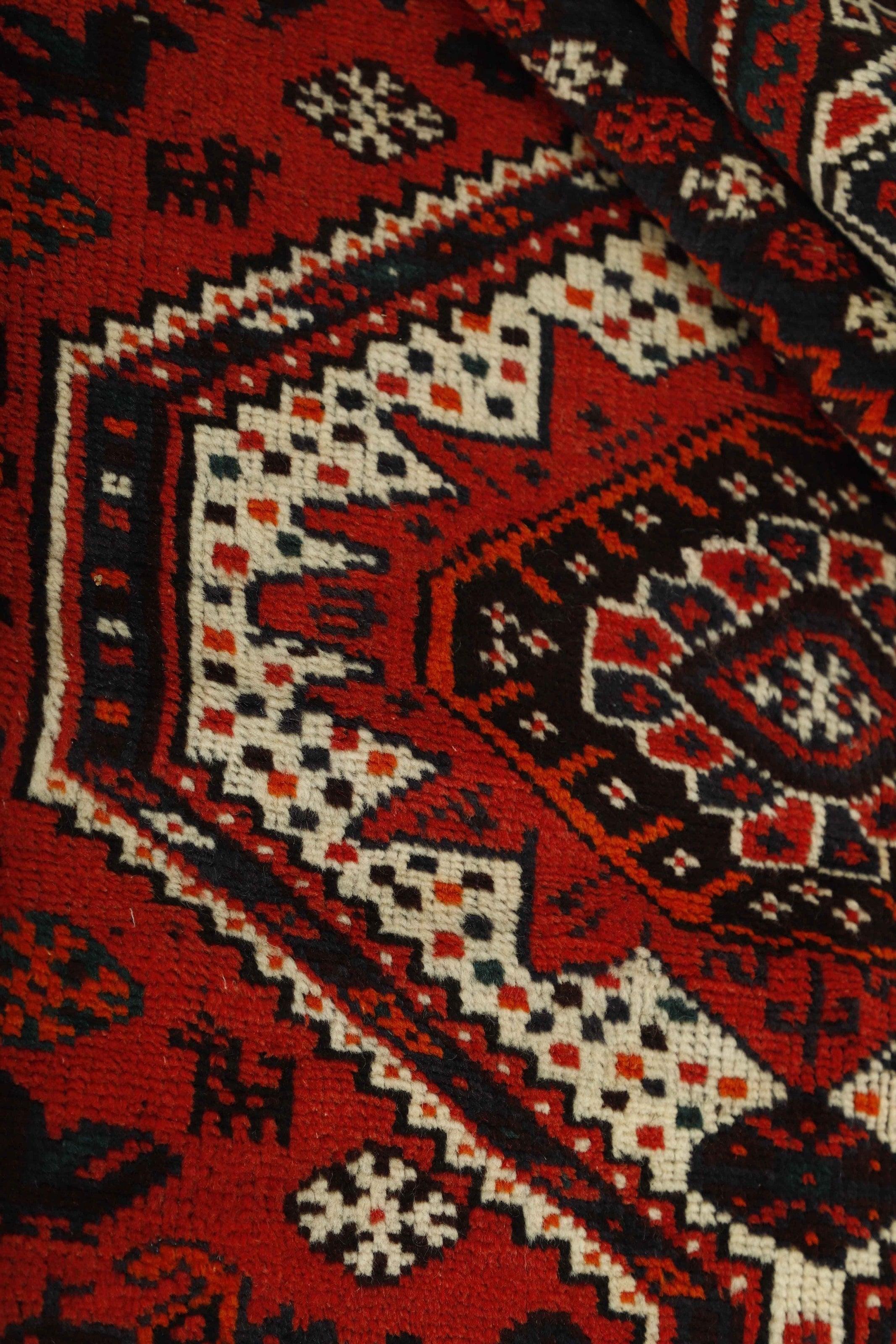 Shiraz 1485438