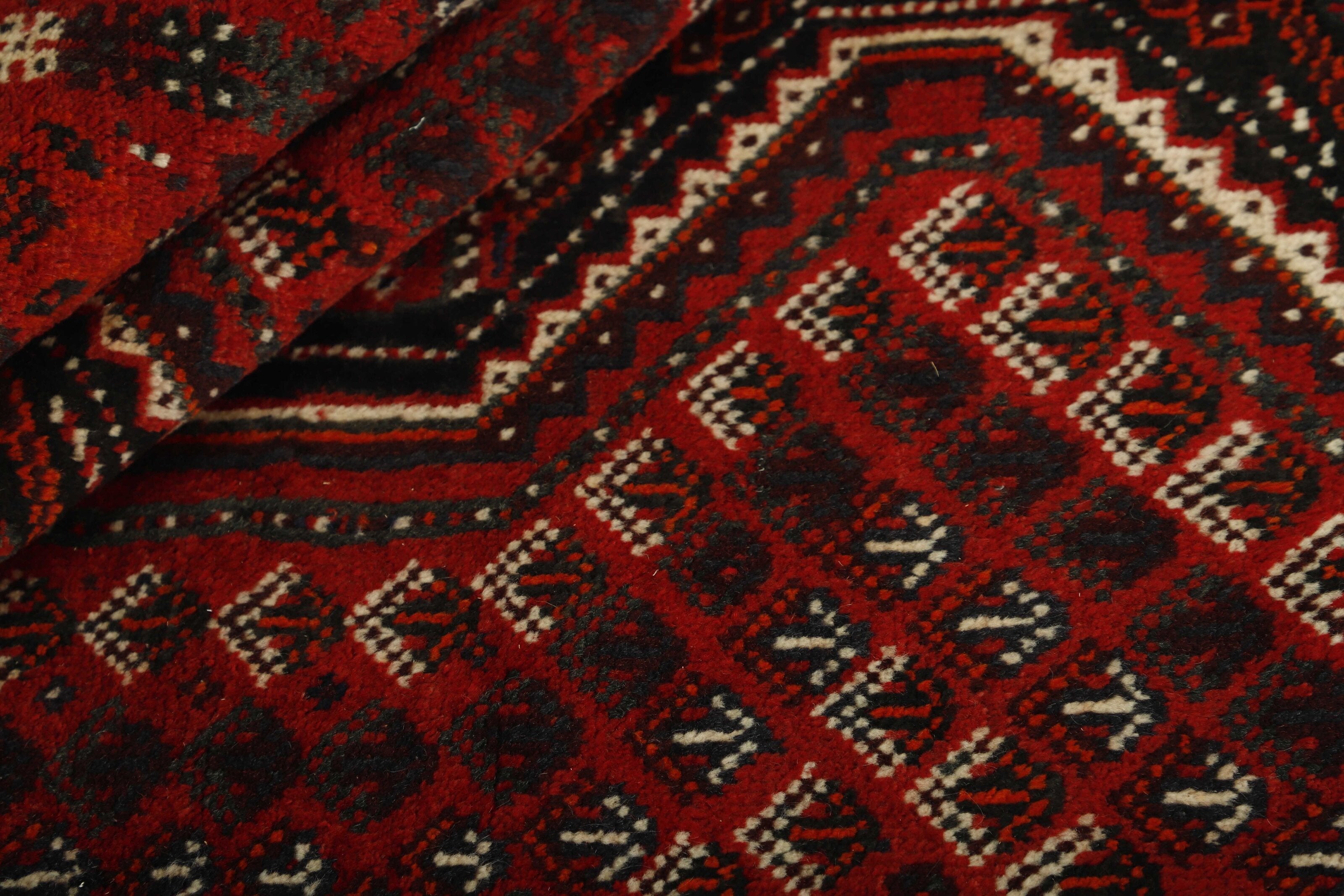 Shiraz 1485454