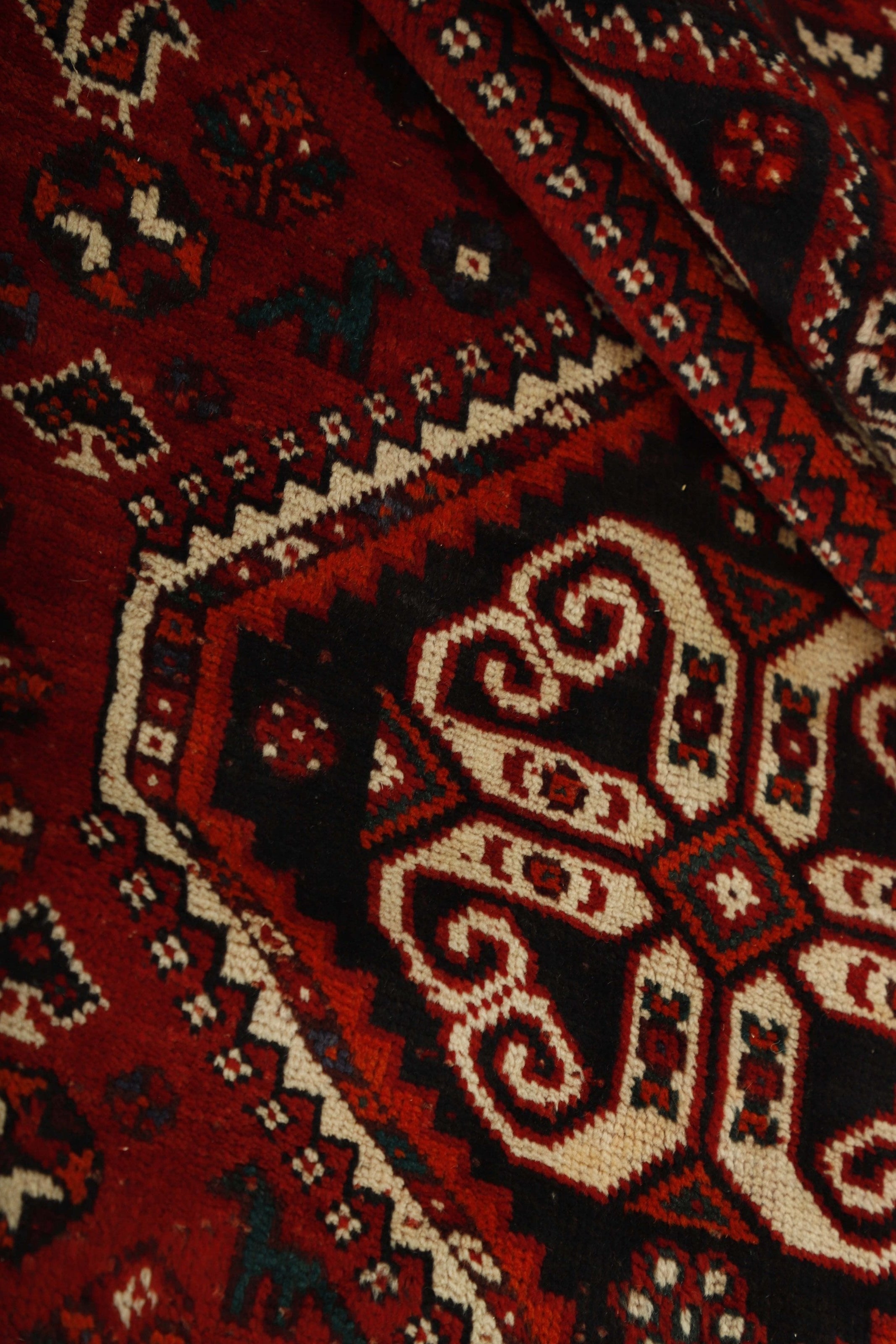 Shiraz 1485455