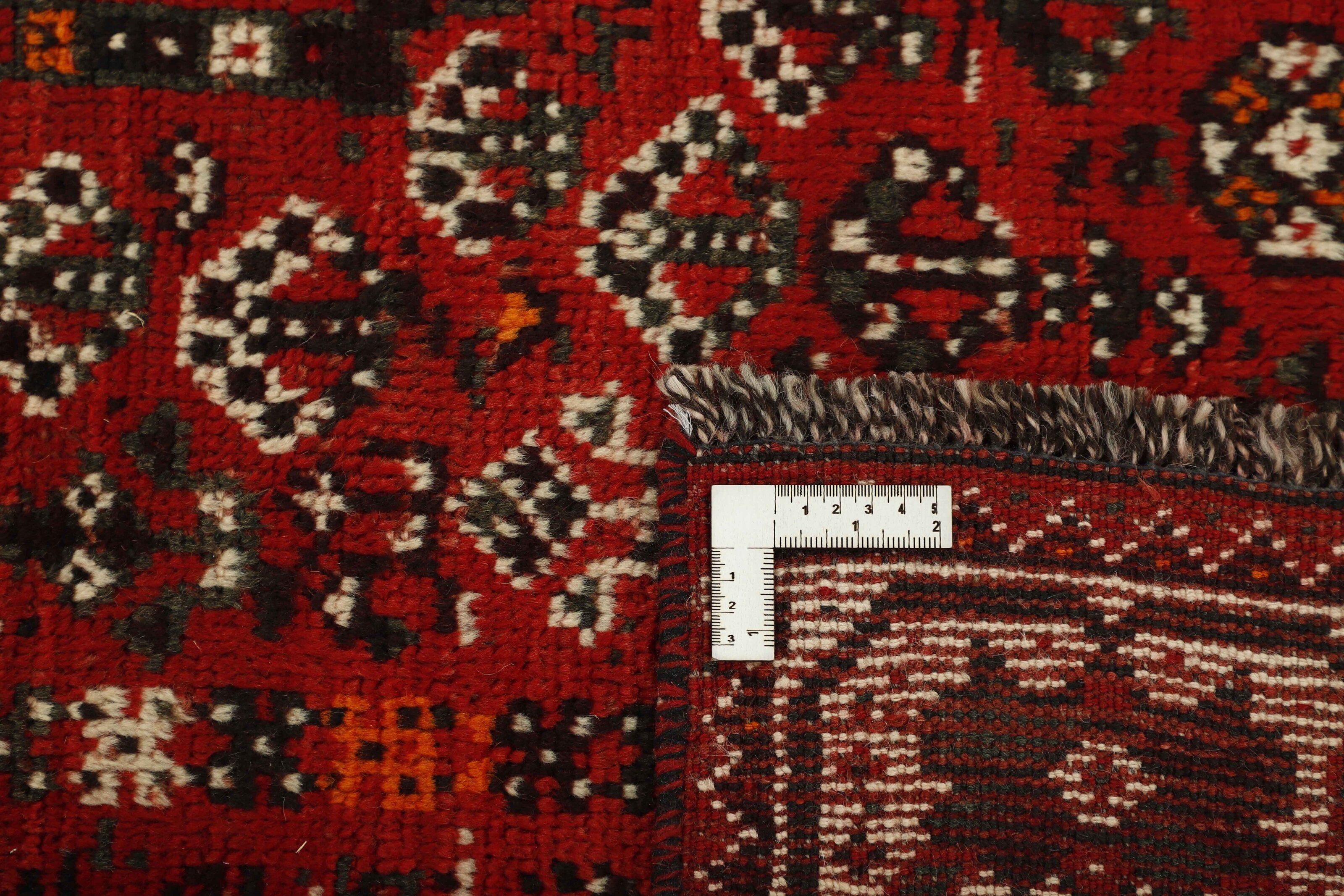 Shiraz 1485456