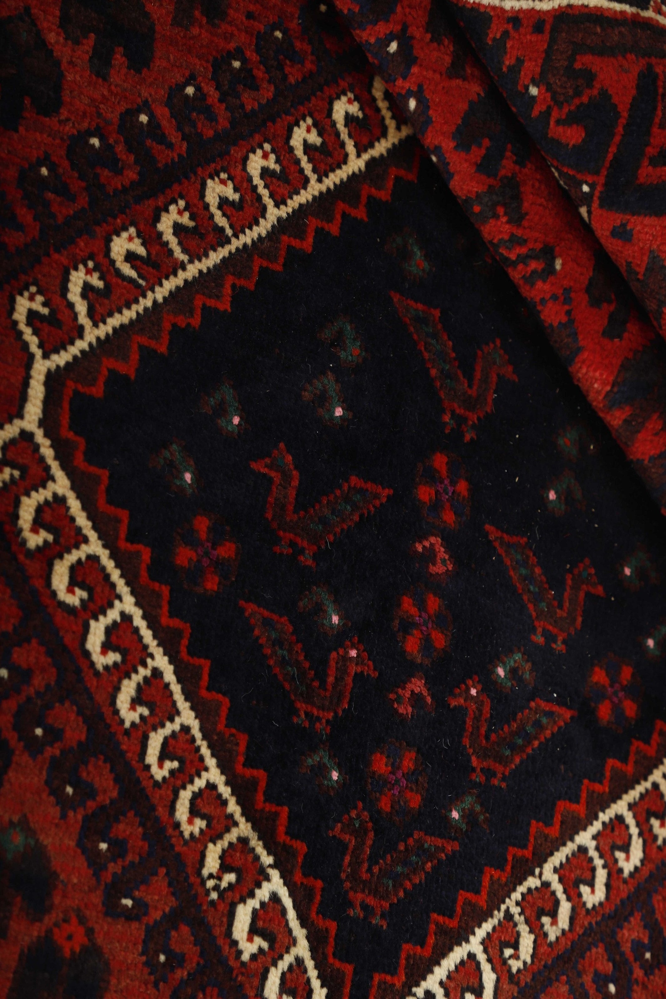 Shiraz 1485461