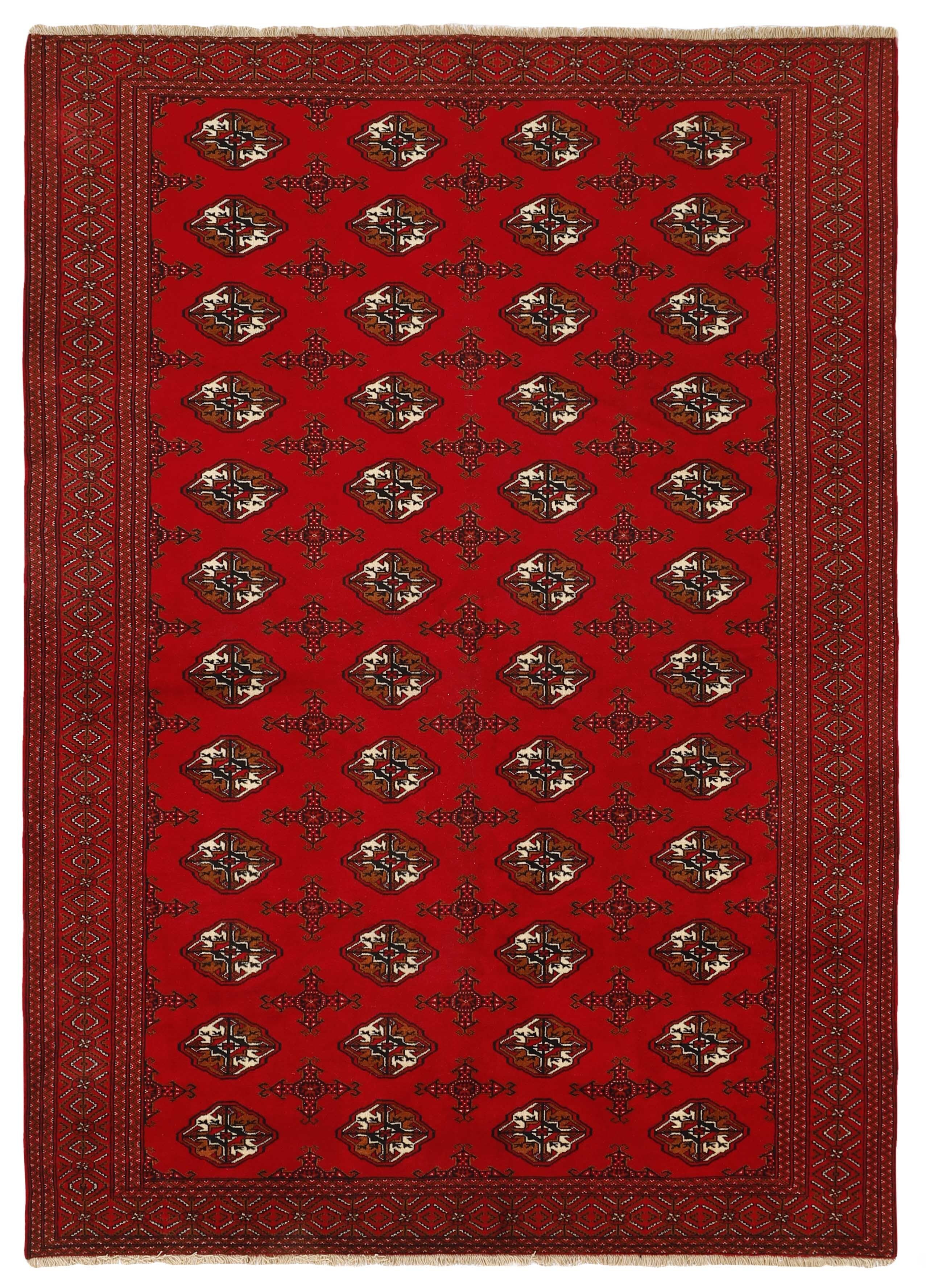 Torkaman 1485528