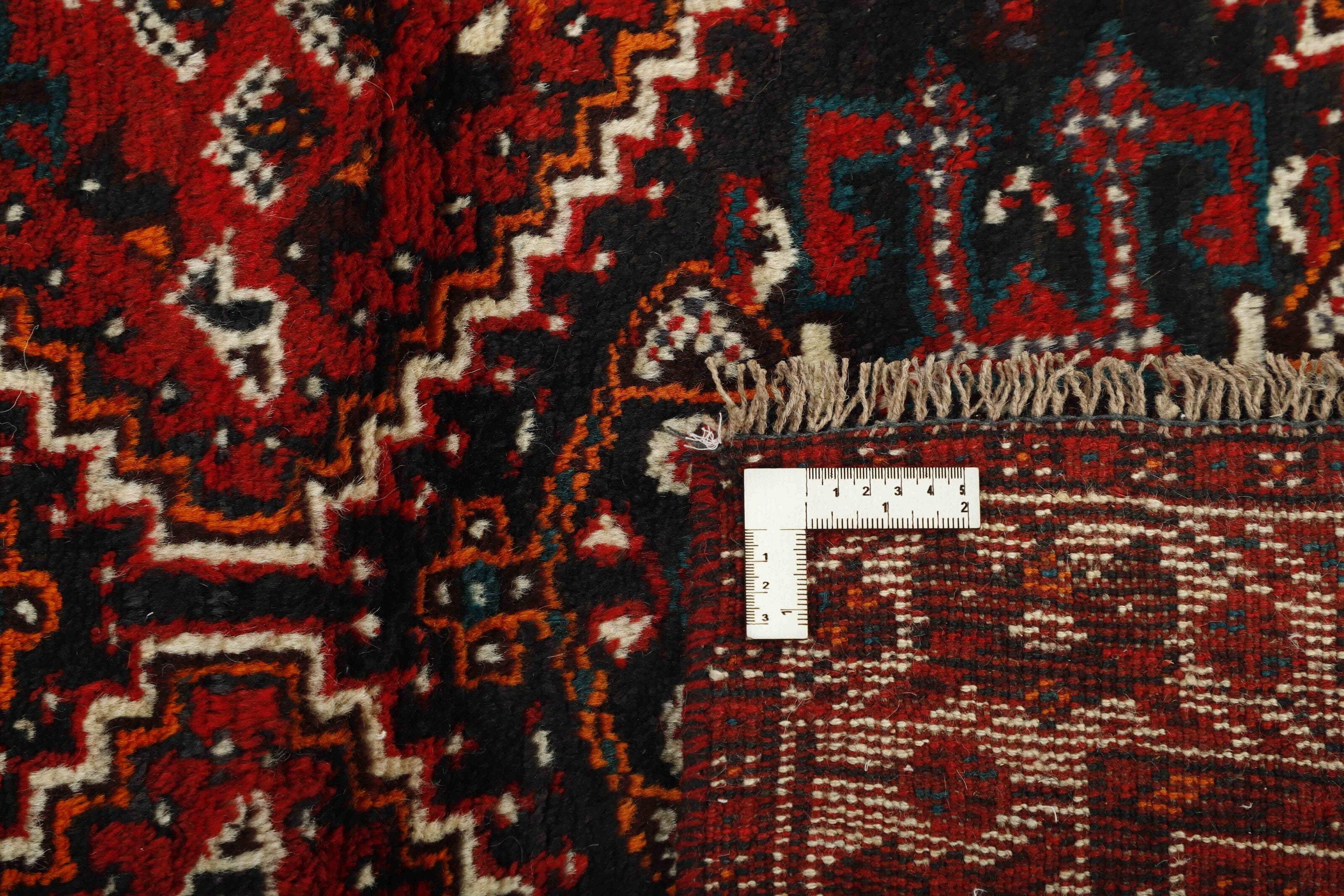Shiraz 1485653