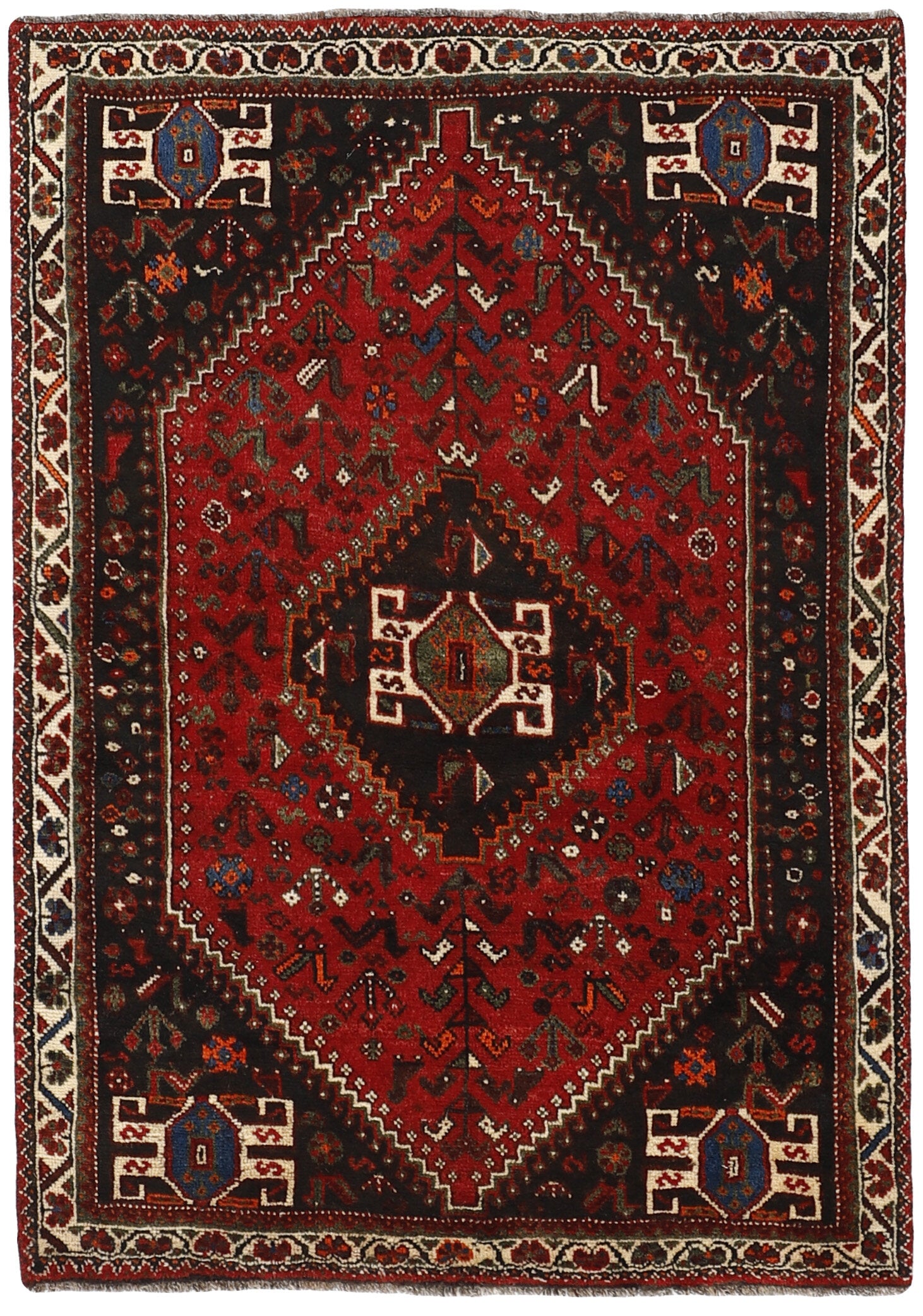 Shiraz 1485663