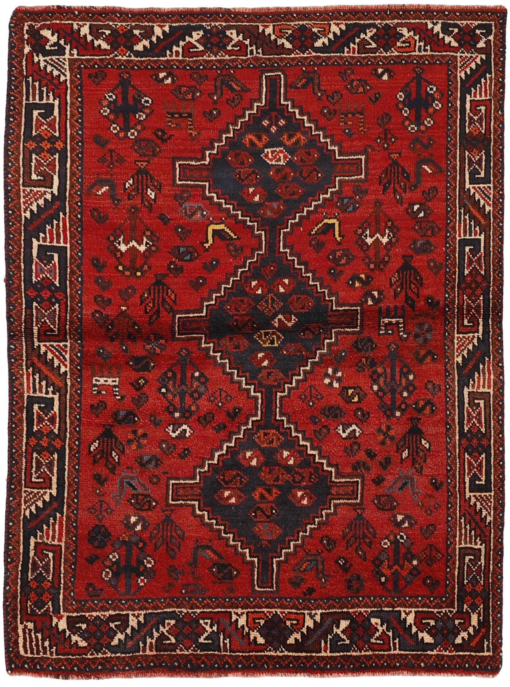 Shiraz 1485665