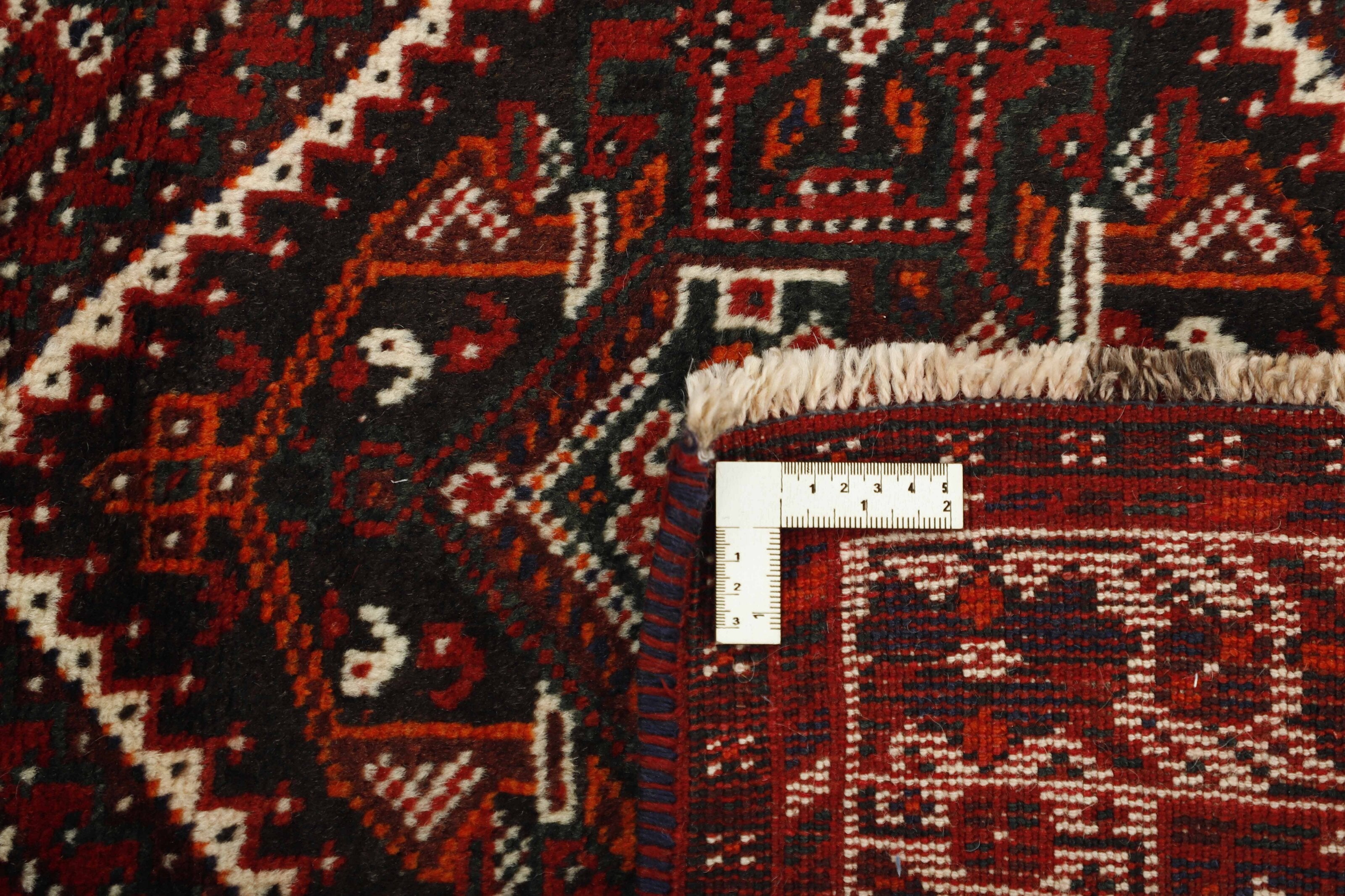 Shiraz 1485677