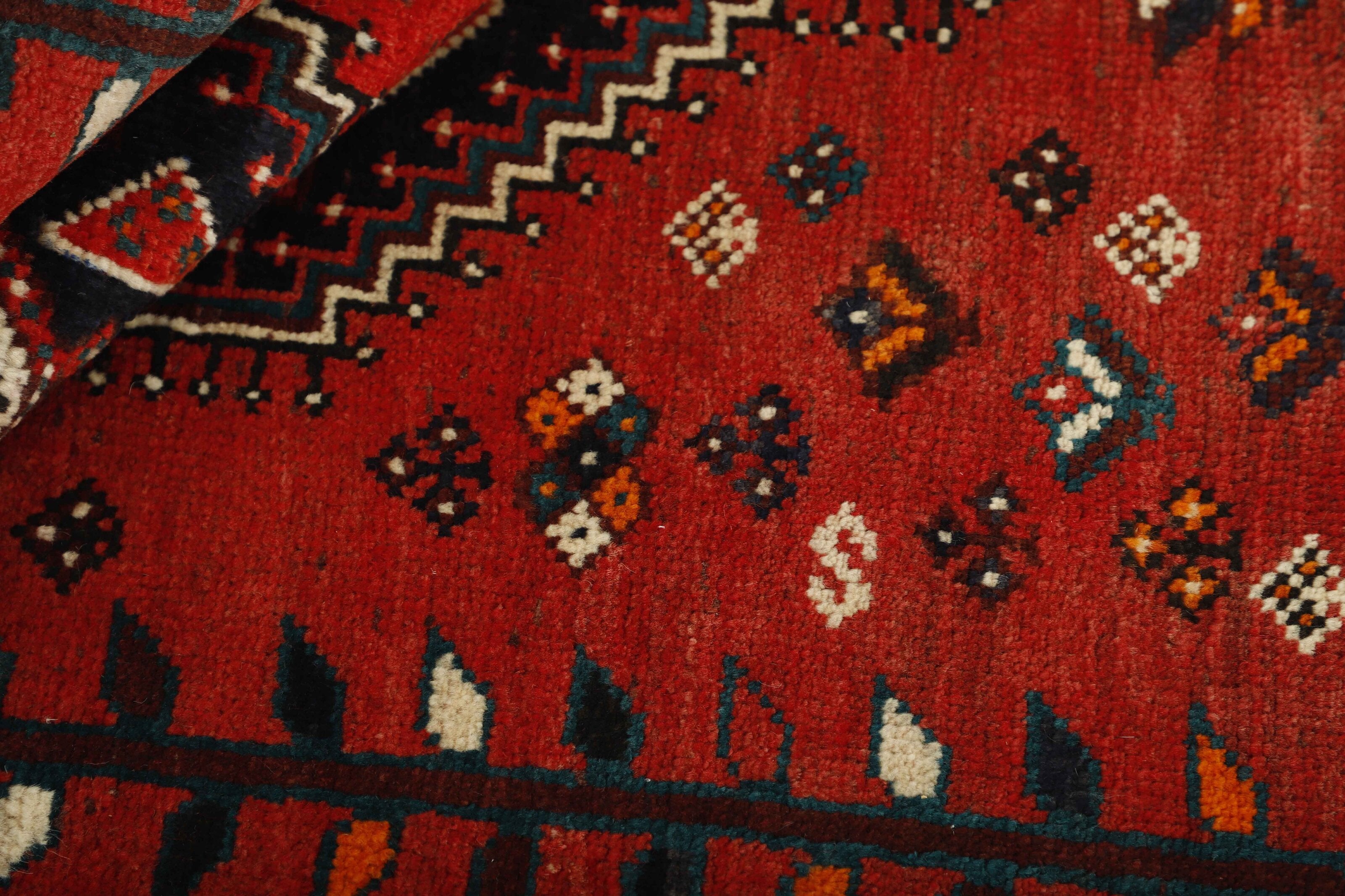 Shiraz 1485680