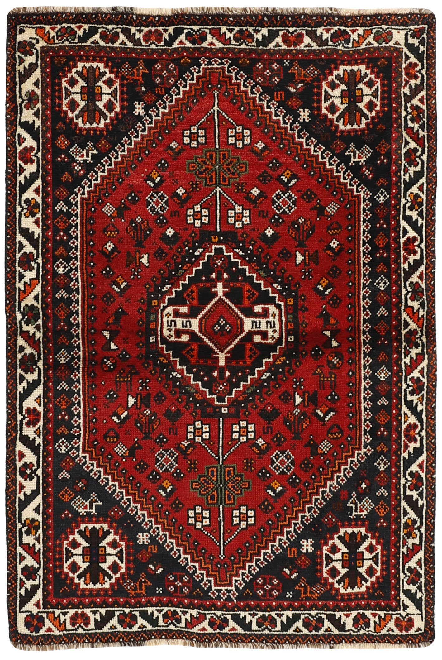 Shiraz 1485692