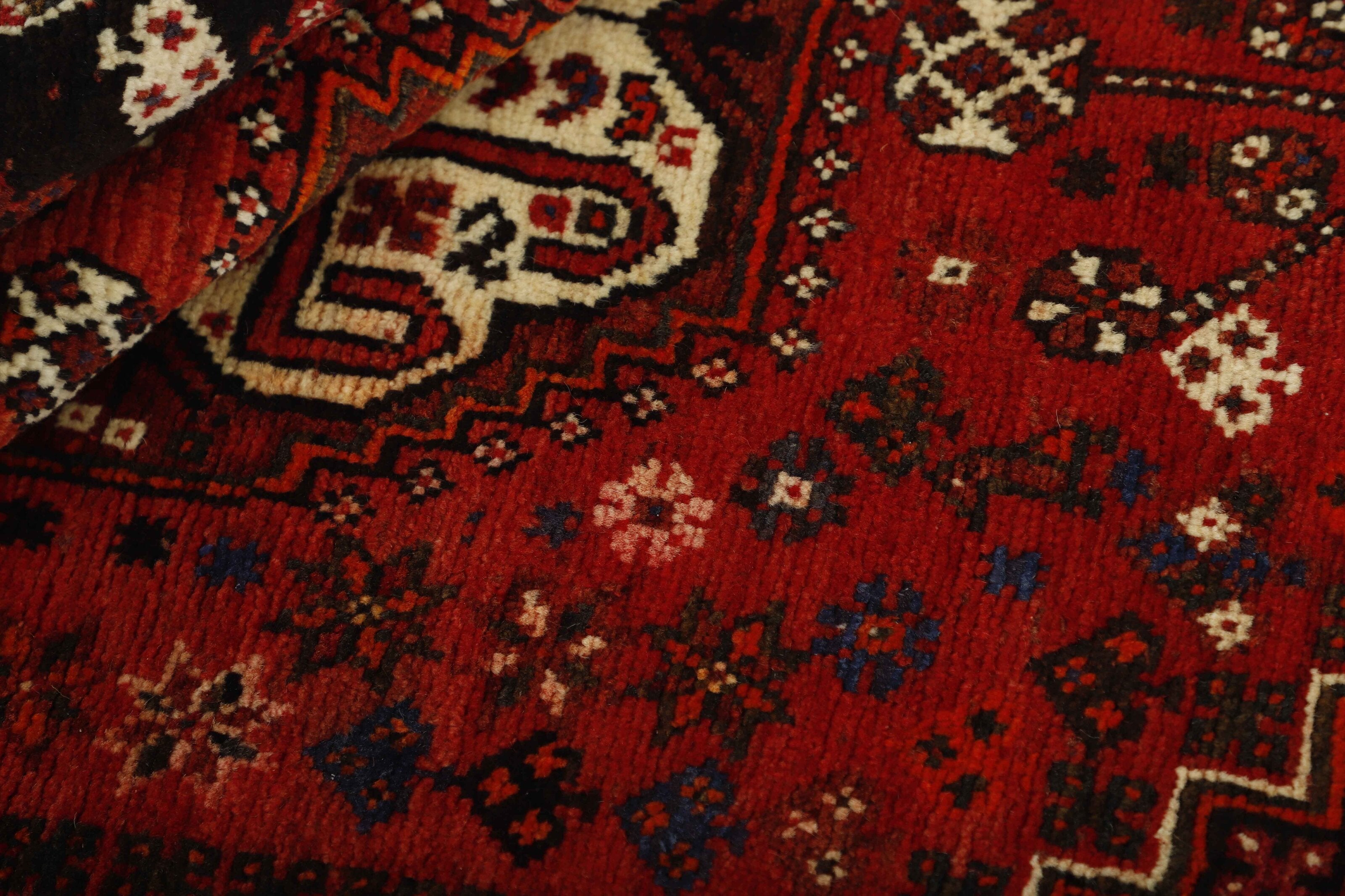 Shiraz 1485694