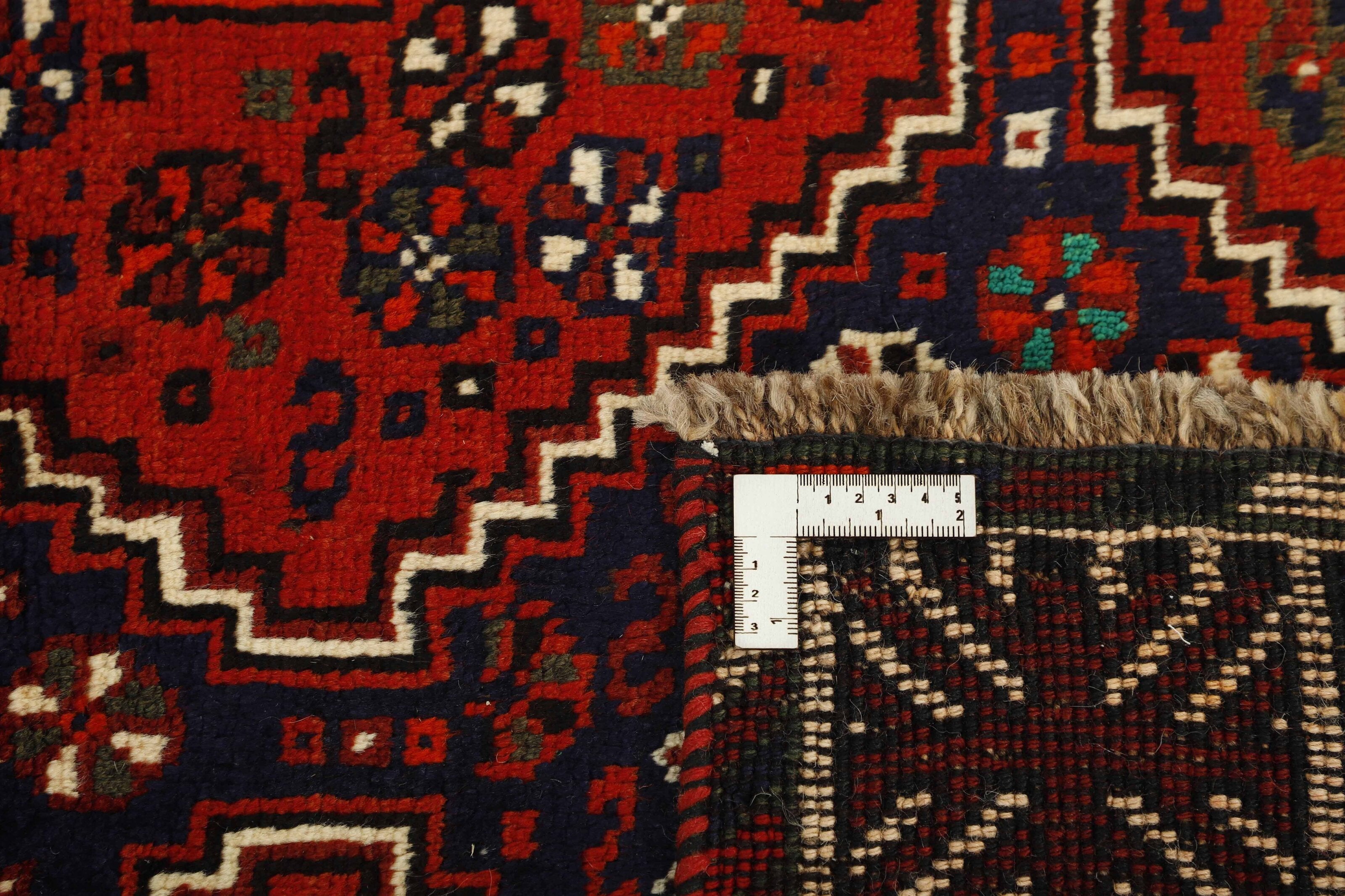 Shiraz 1485705