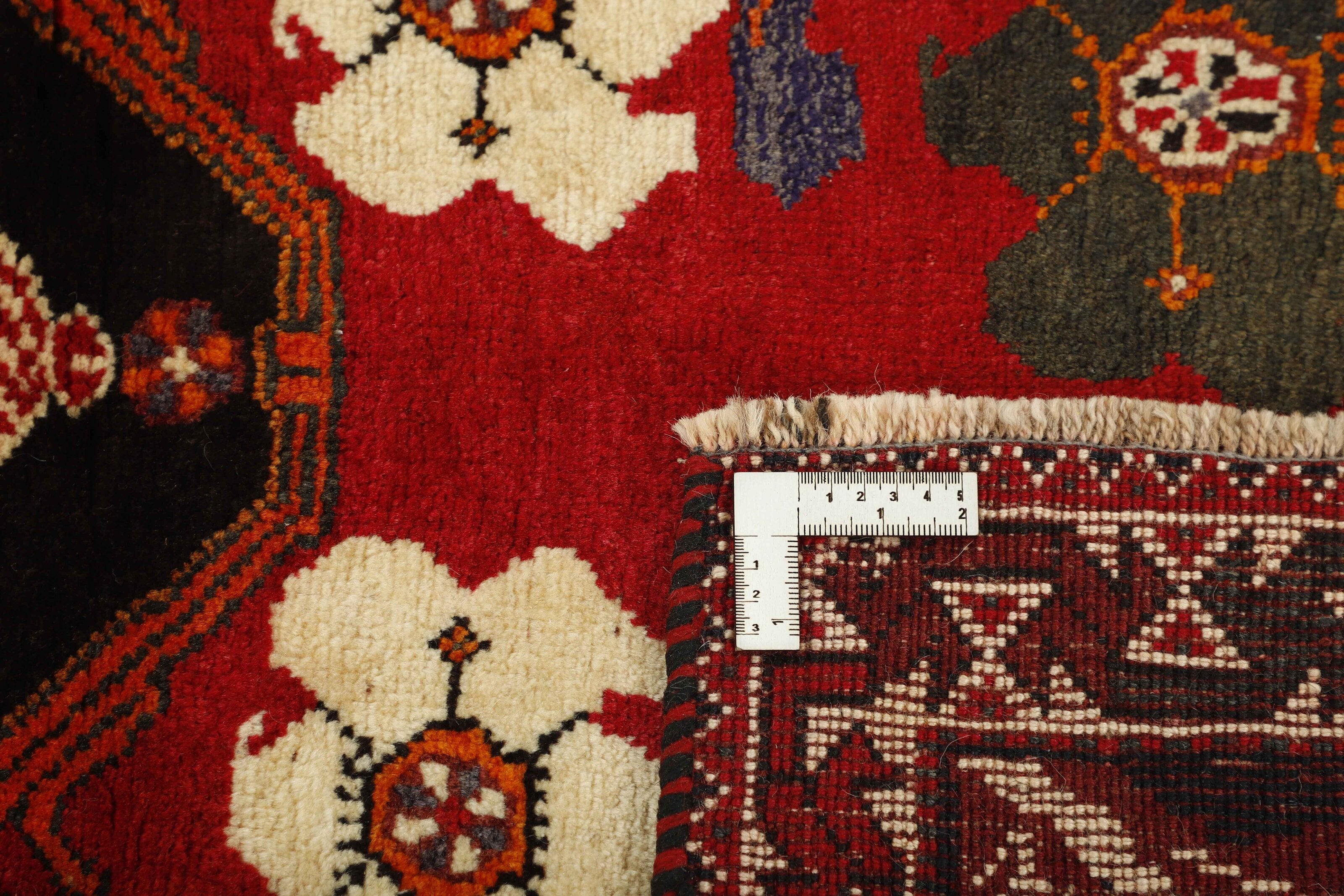 Shiraz 1485706